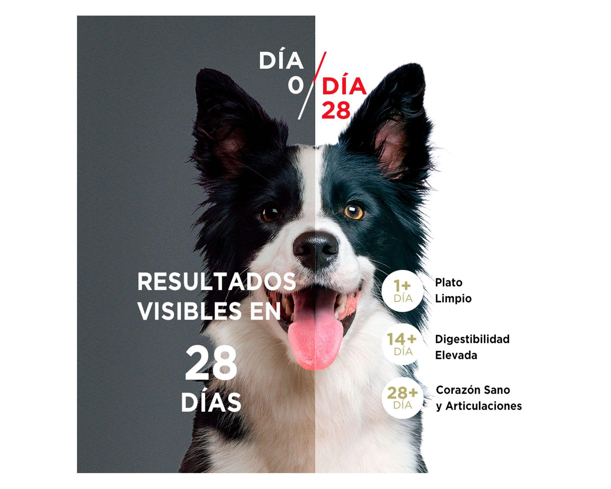 Alimento perro cachorro 12 kg pollo y carne Purina One.-2