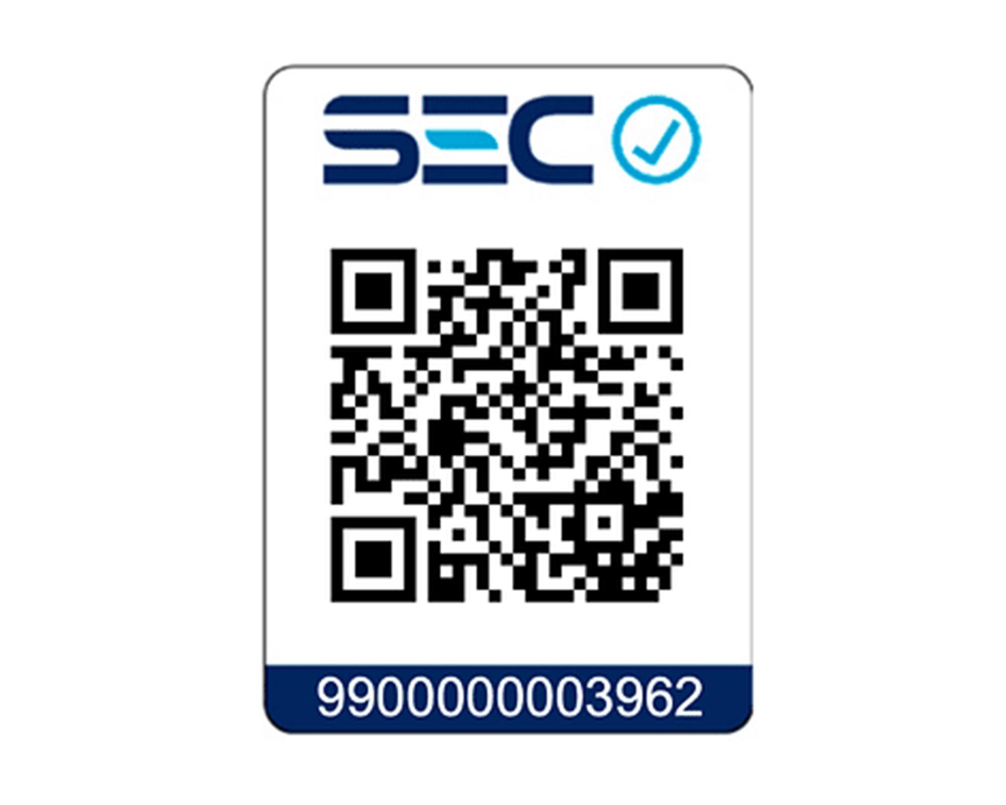 Estufa a pellet 9000kW HERA verde Bosca-7