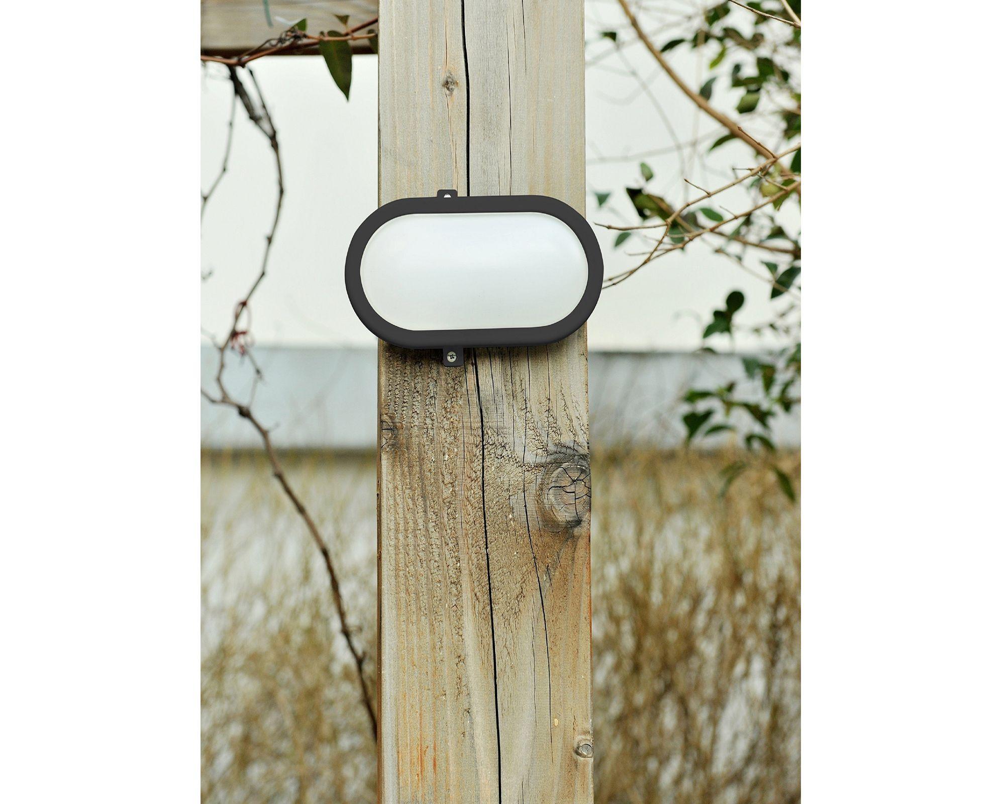 Tortuga LED 12W luz fría 2 unidades Abitare.-4