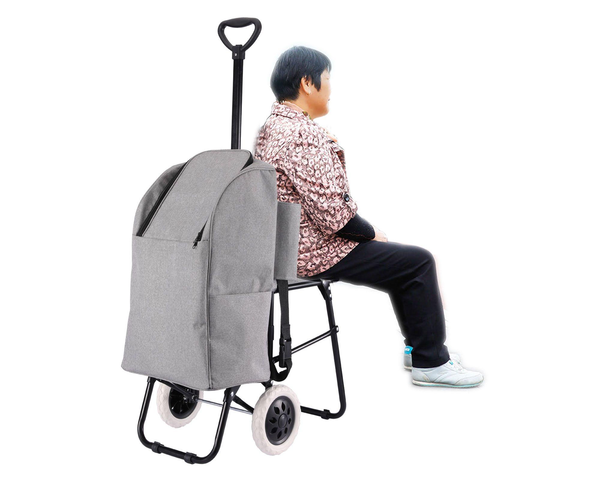 Carro de compras 20 kg Premium Cotidiana.-1