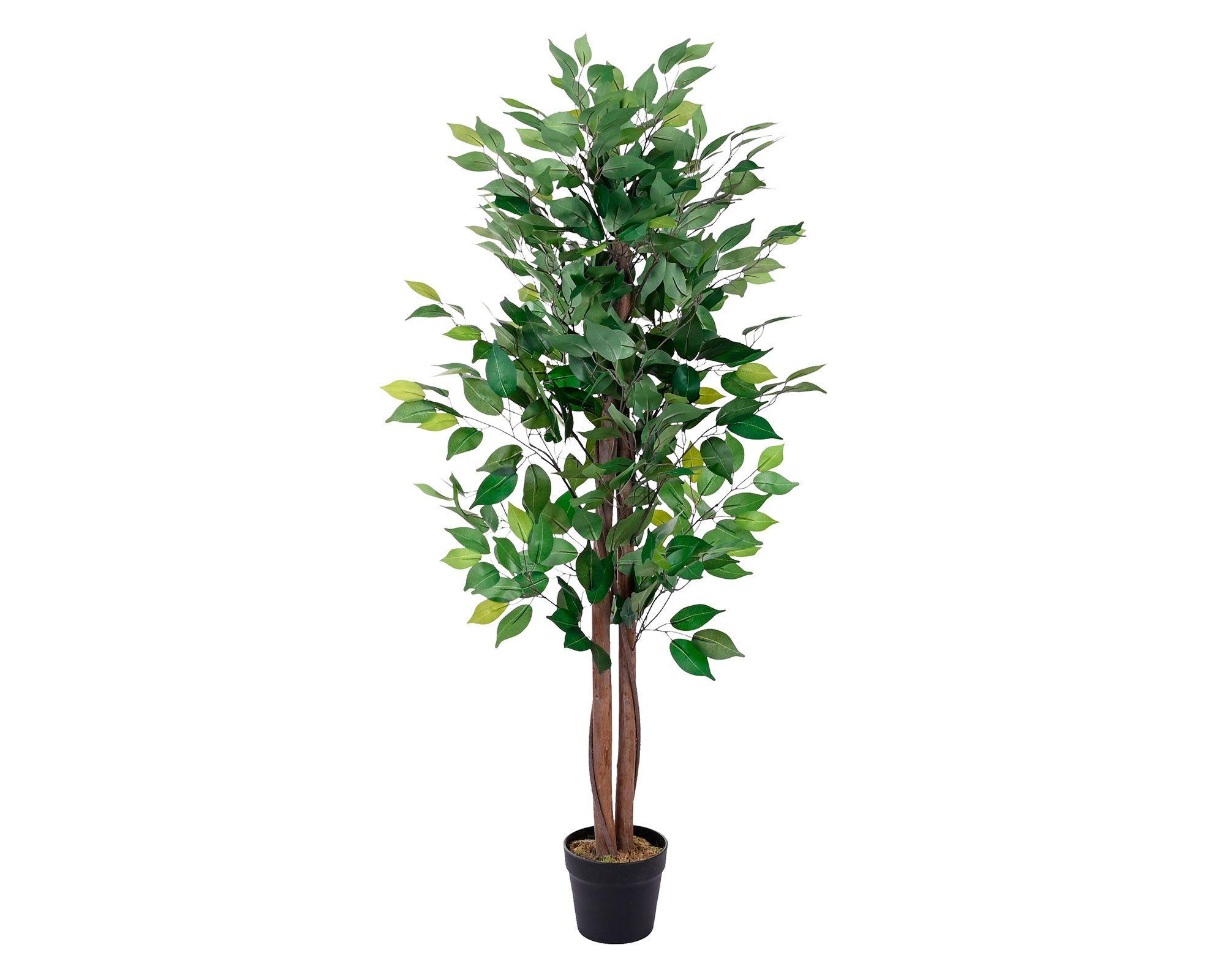 Planta artificial Ficus Outzen-0