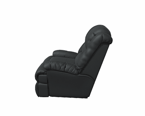 Berger Jarrie negro Rosen.-1