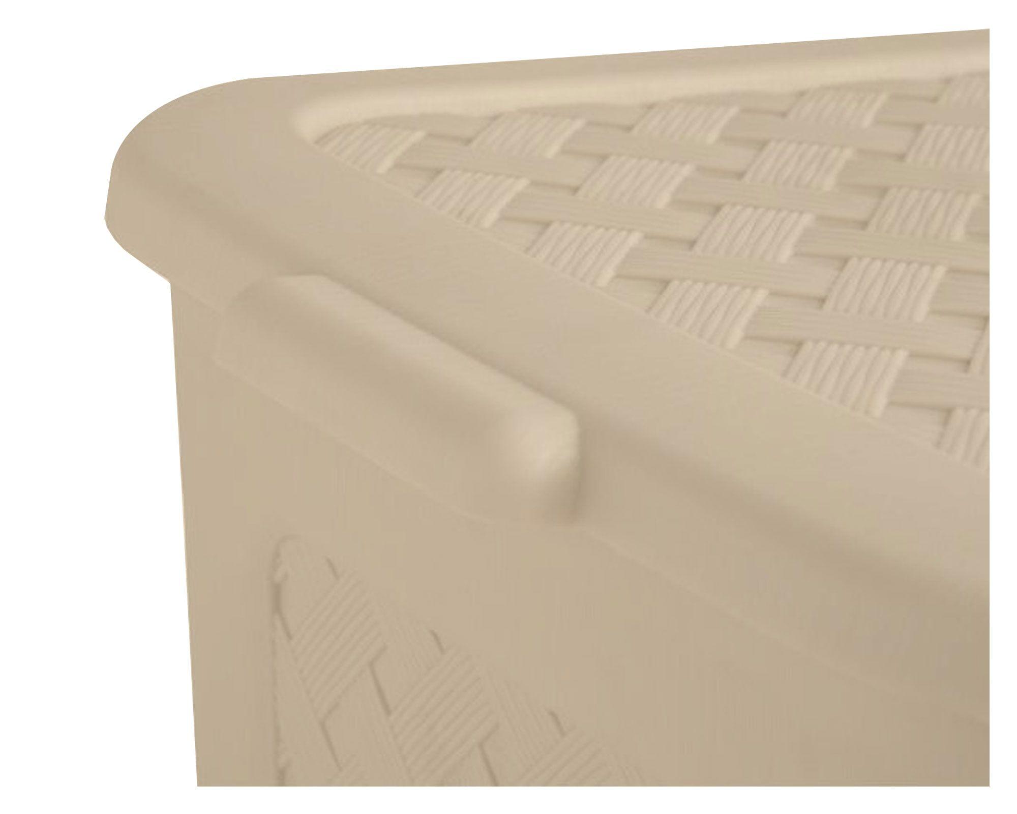 Caja organizadora Ratán beige polipropileno 24 lt-2