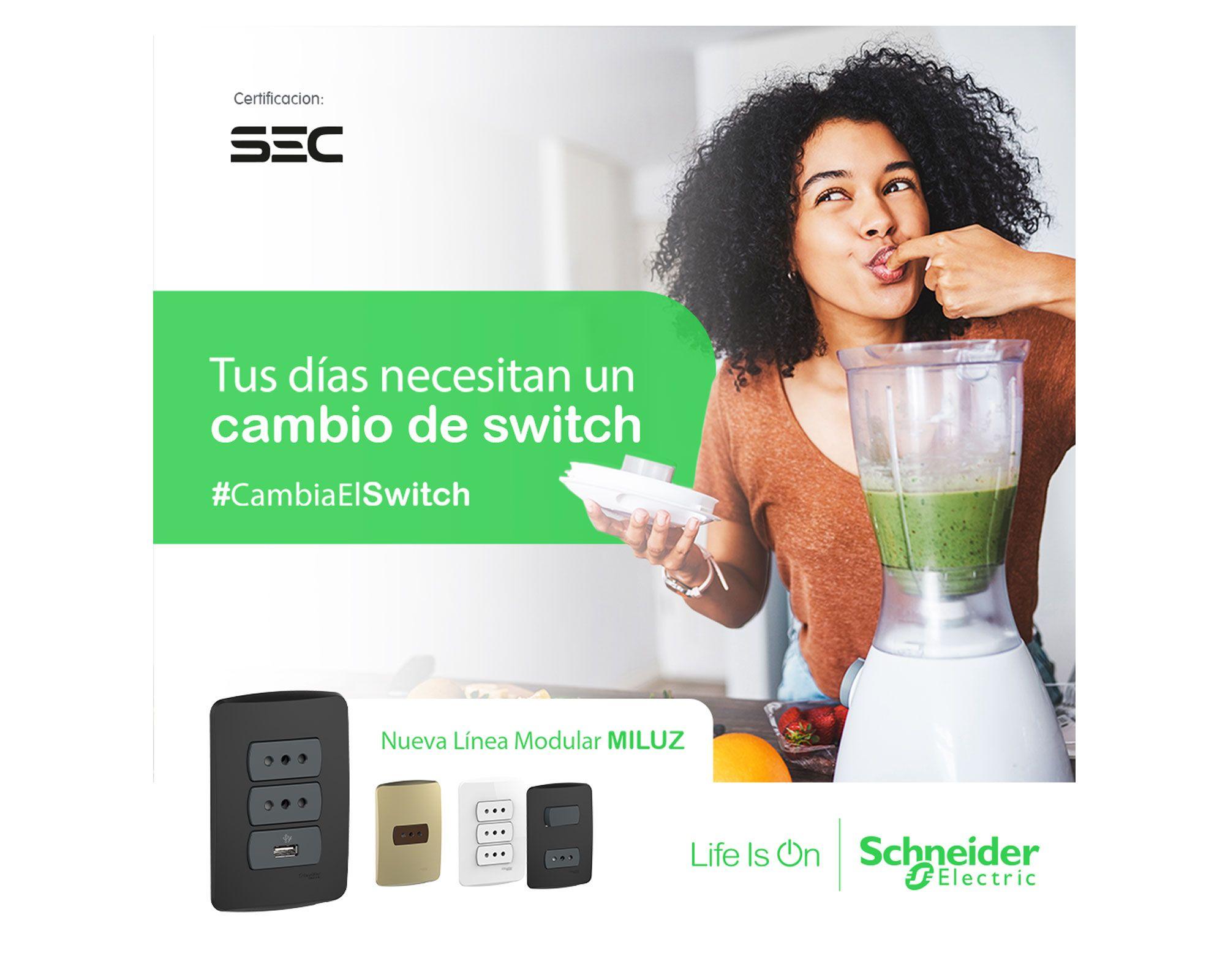 Placa ciega Miluz grafito Schneider Electric-1