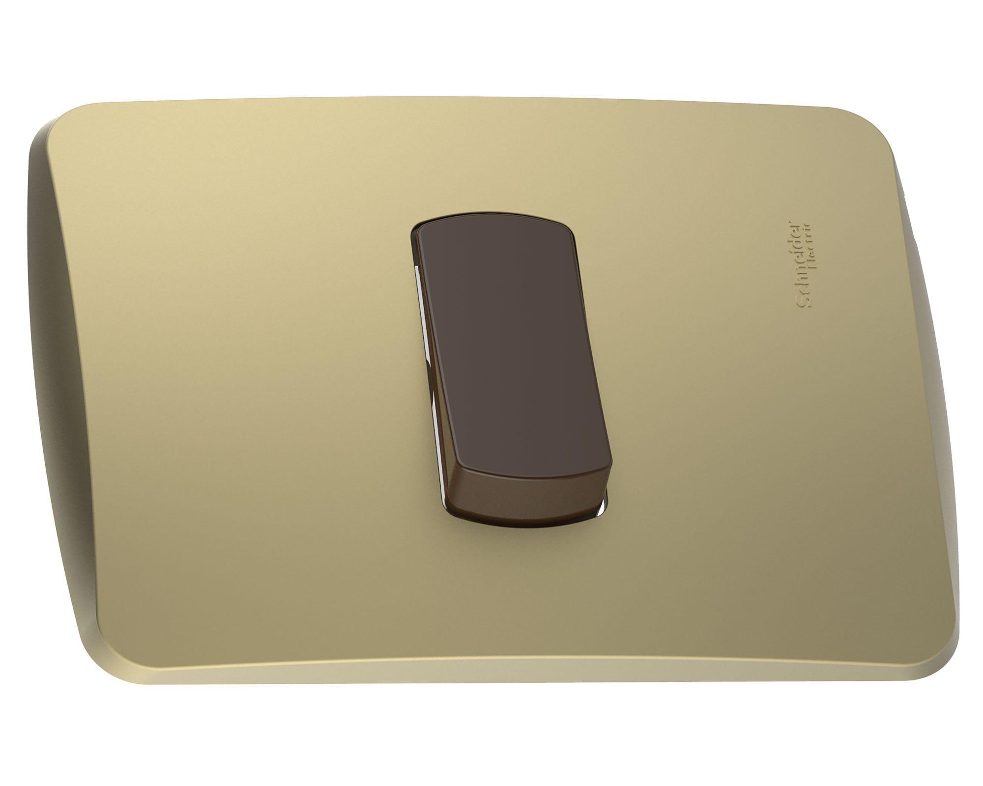 Placa armada con interruptor 16A 9/12 Miluz dorado Schneider-0