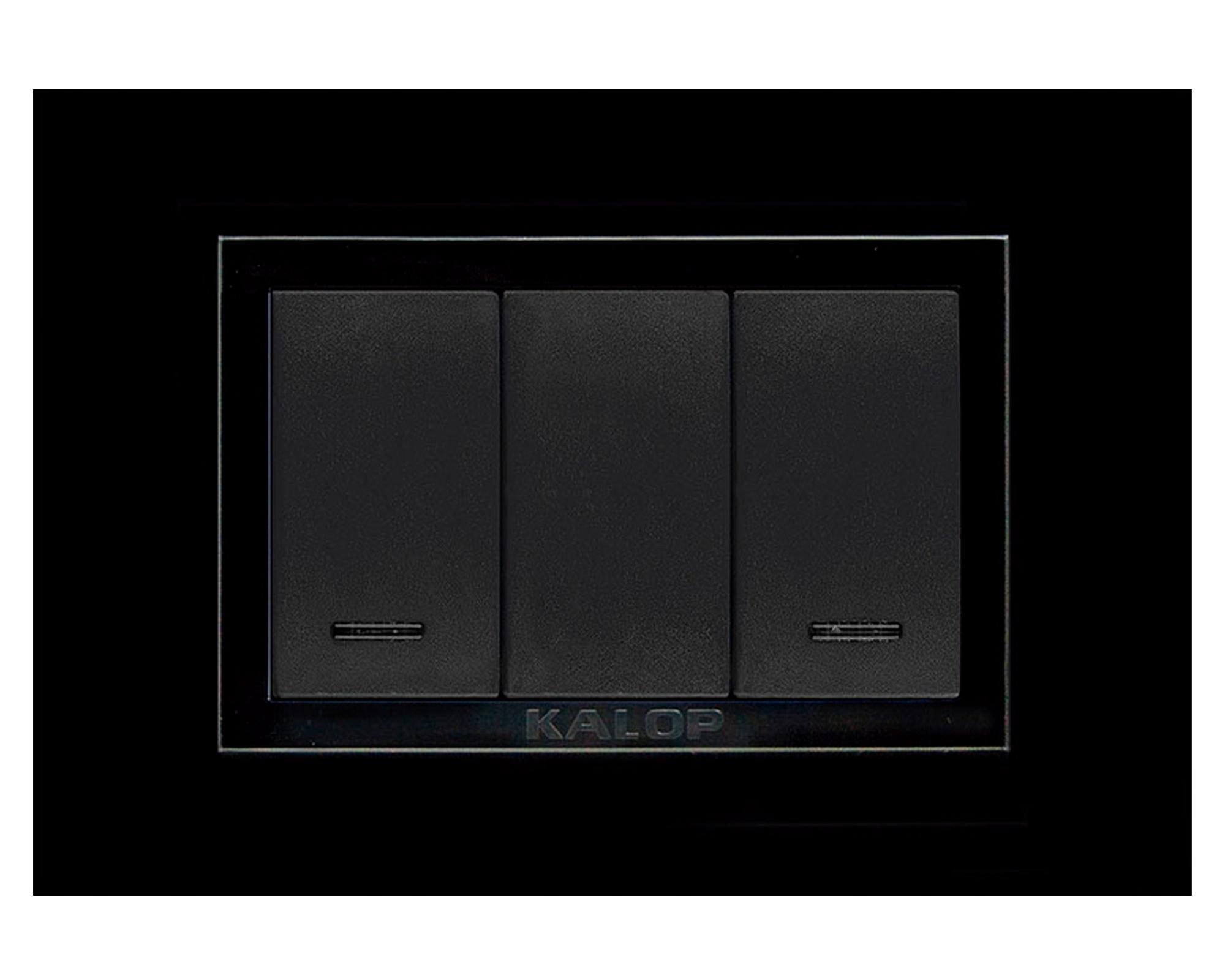 Interruptor 9/15 Zen basic armado negro-0