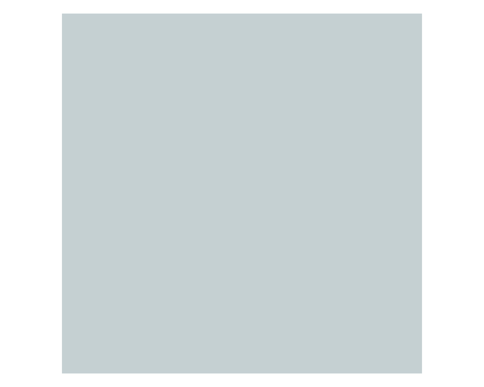 Spray imprimante zinsser 123 primer gris Zinsser-1