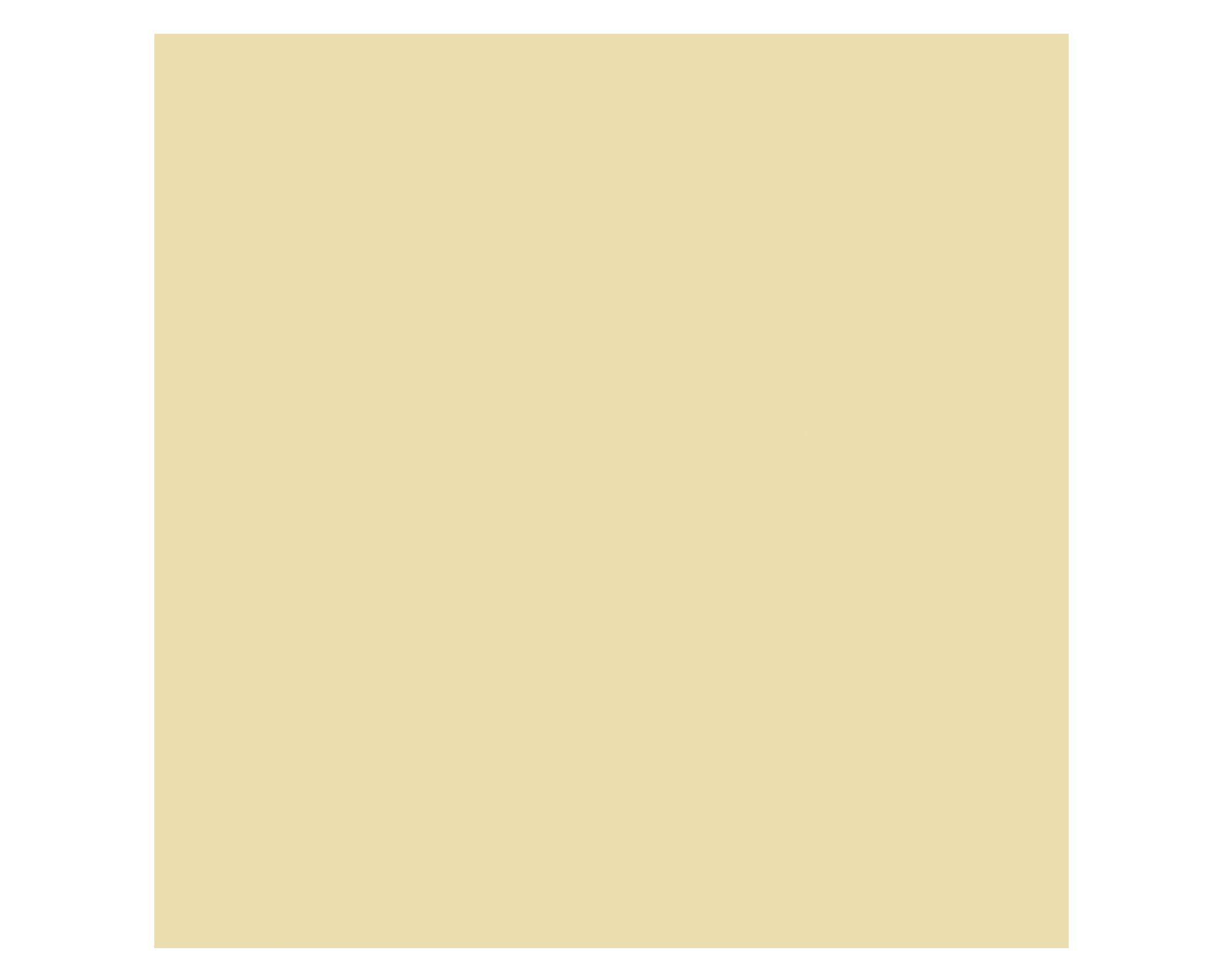 Pintura tizada base agua 887 ml Chalked Interior amarillo lino mate-1
