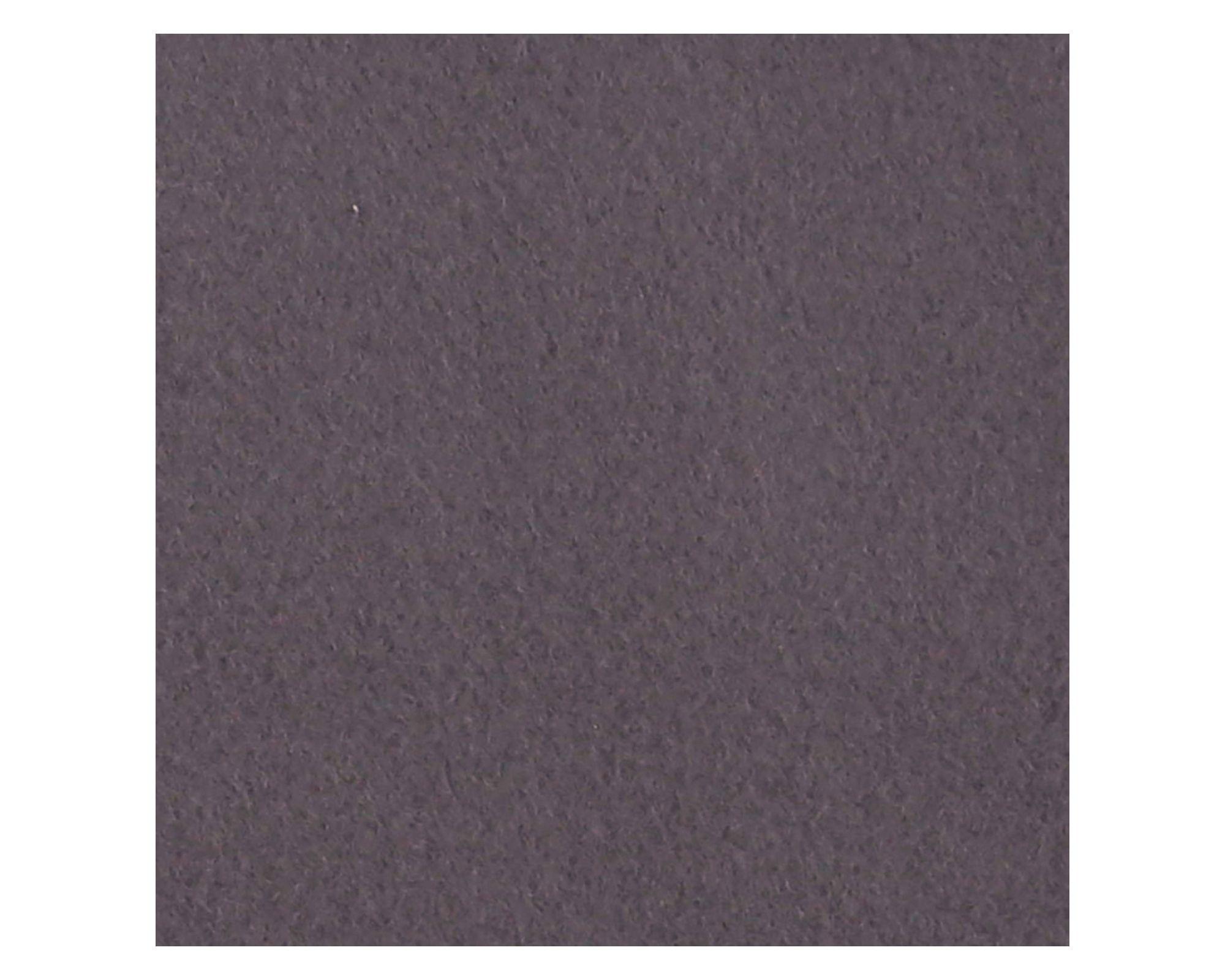 Frazada polar Lisa 300 gsm morado King-1