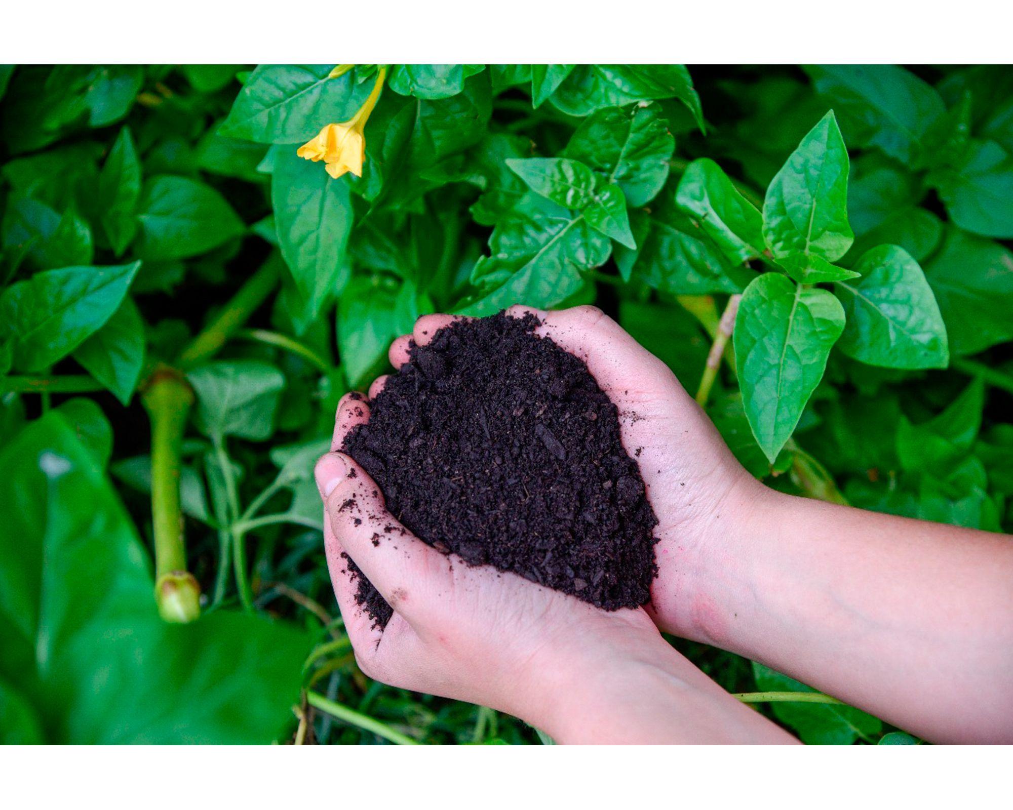 Tierra con abono 40 litros natural-2