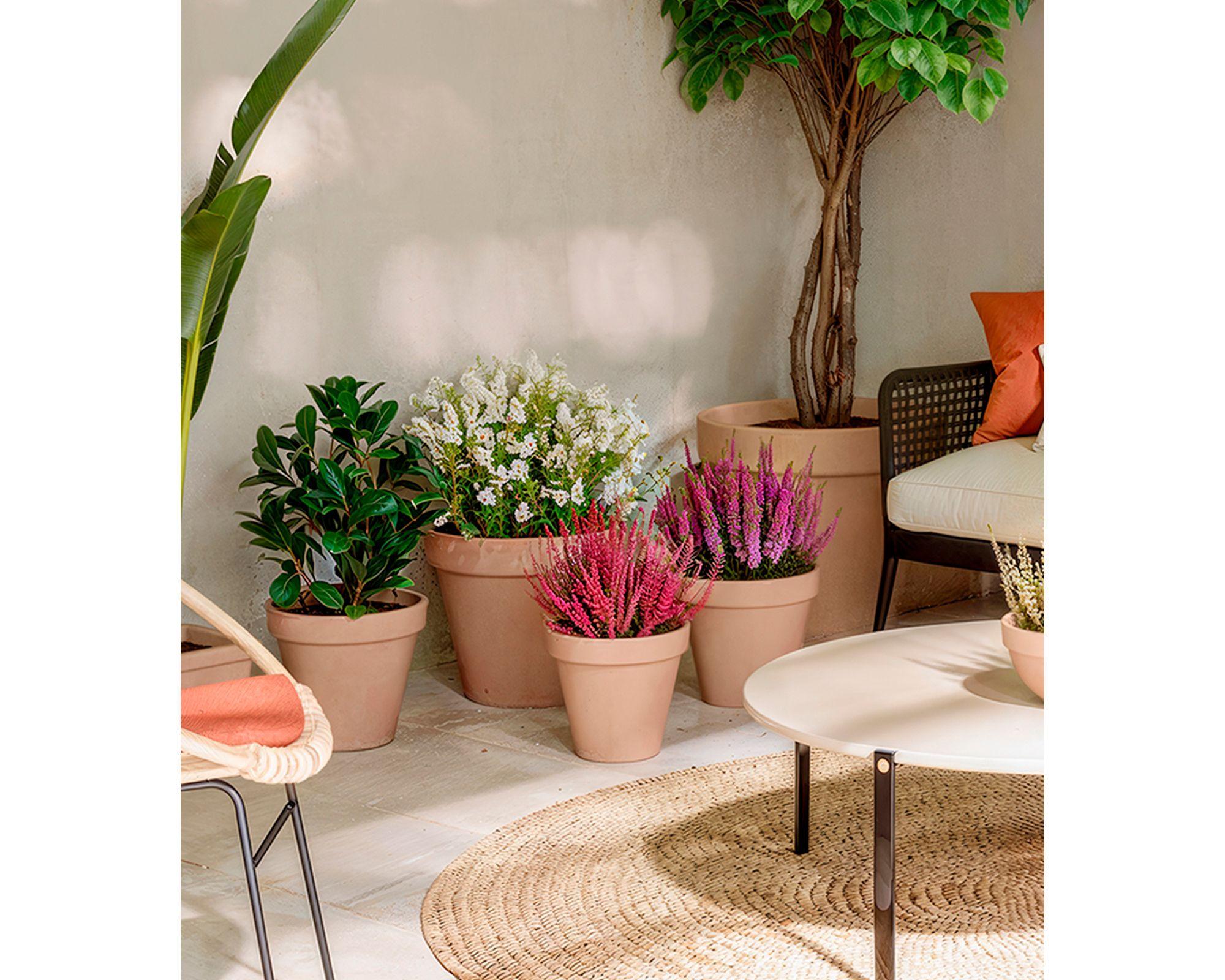 Maceta Amalia pot antique 23 cm-3