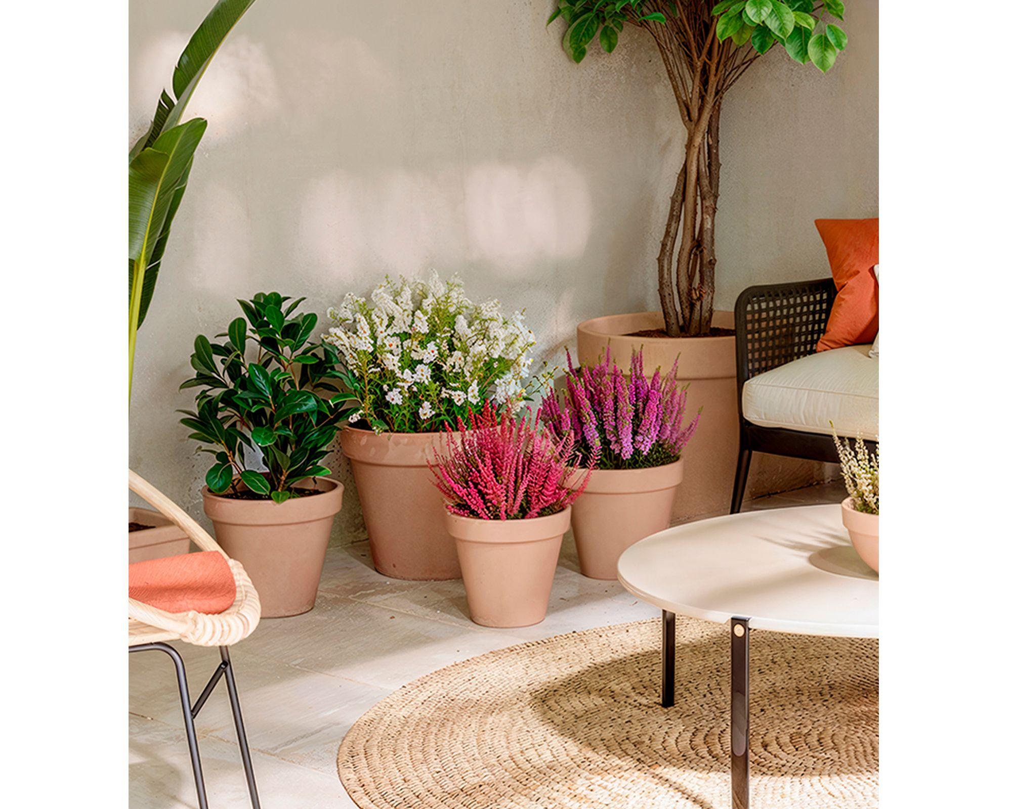 Maceta Amalia pot antique 43 cm-3