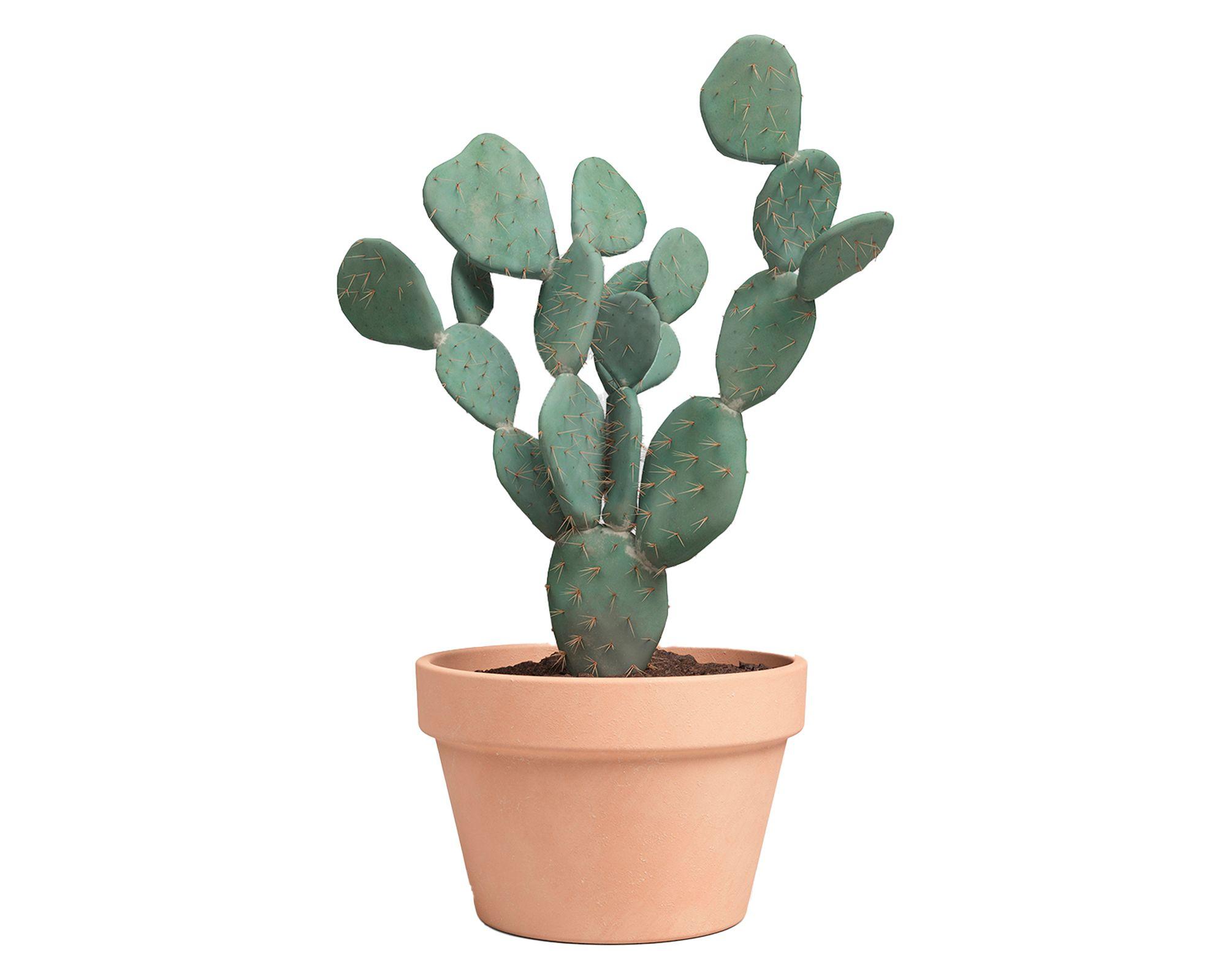 Maceta Amalia bowl antique 27 cm-2