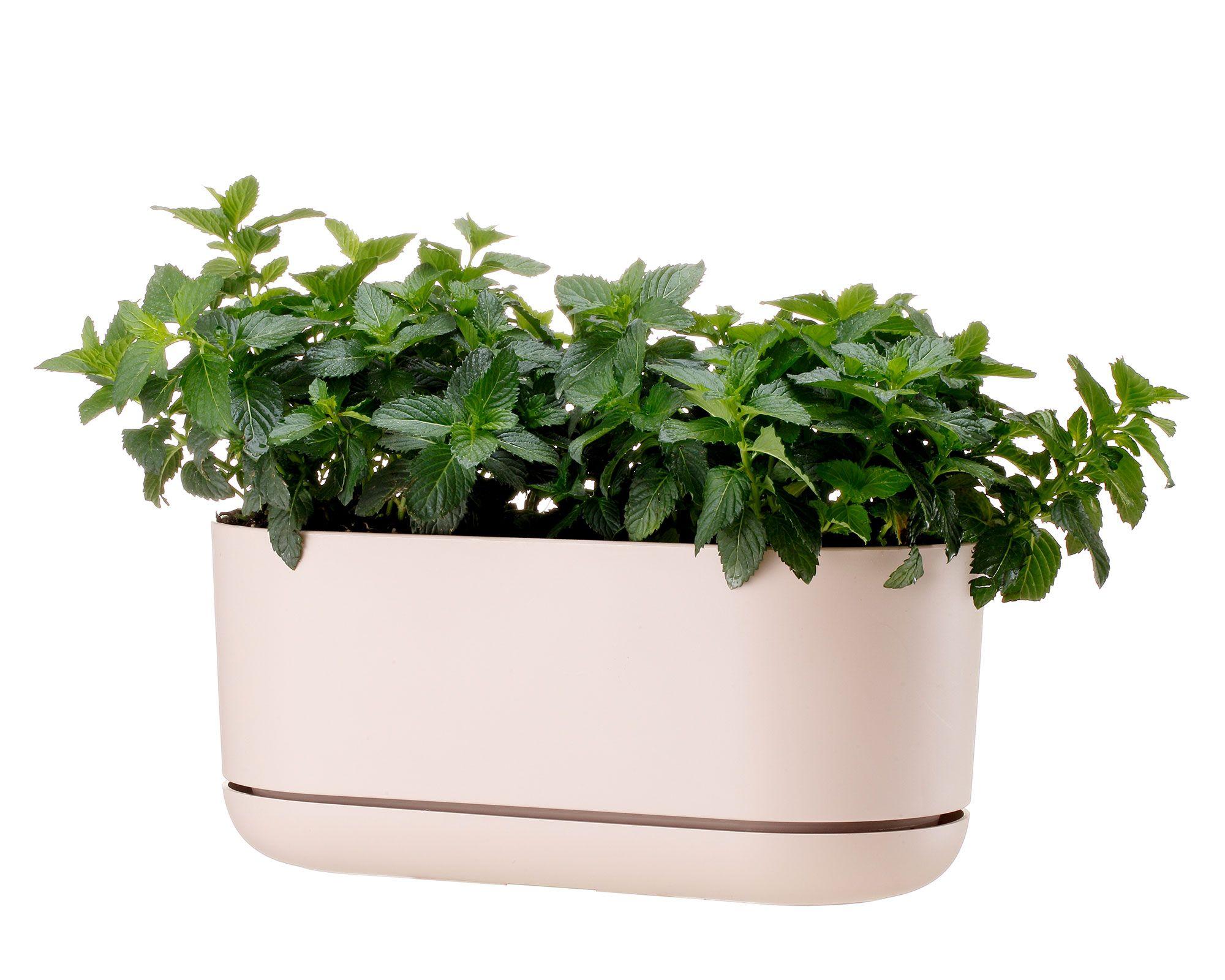 Maceta Umbrella Pink 30 cm-5