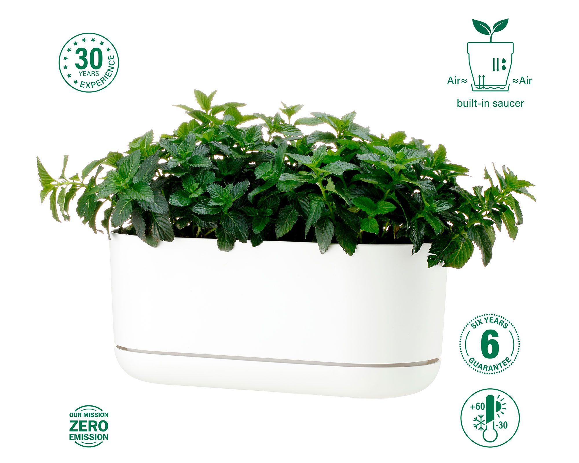 Maceta Umbrella blanco 30 cm-5