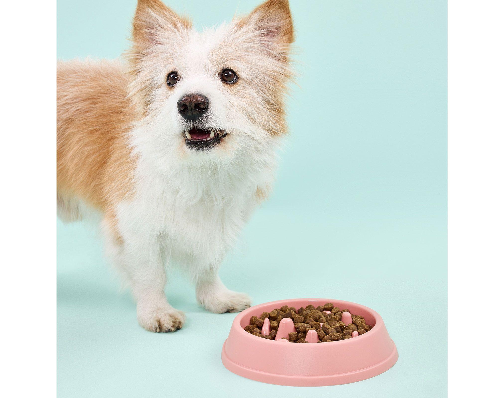 Plato mascota Anti ahogo rosa 500 ml-2