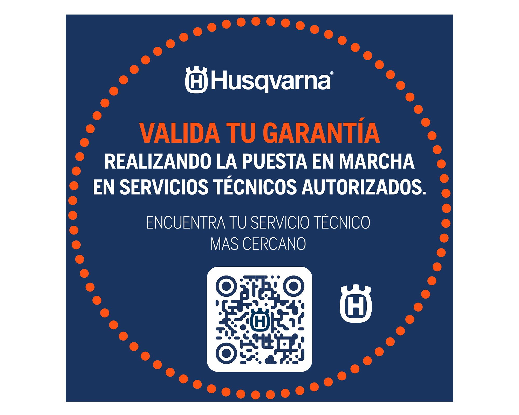 Motor 6.5HP HH196MP-1