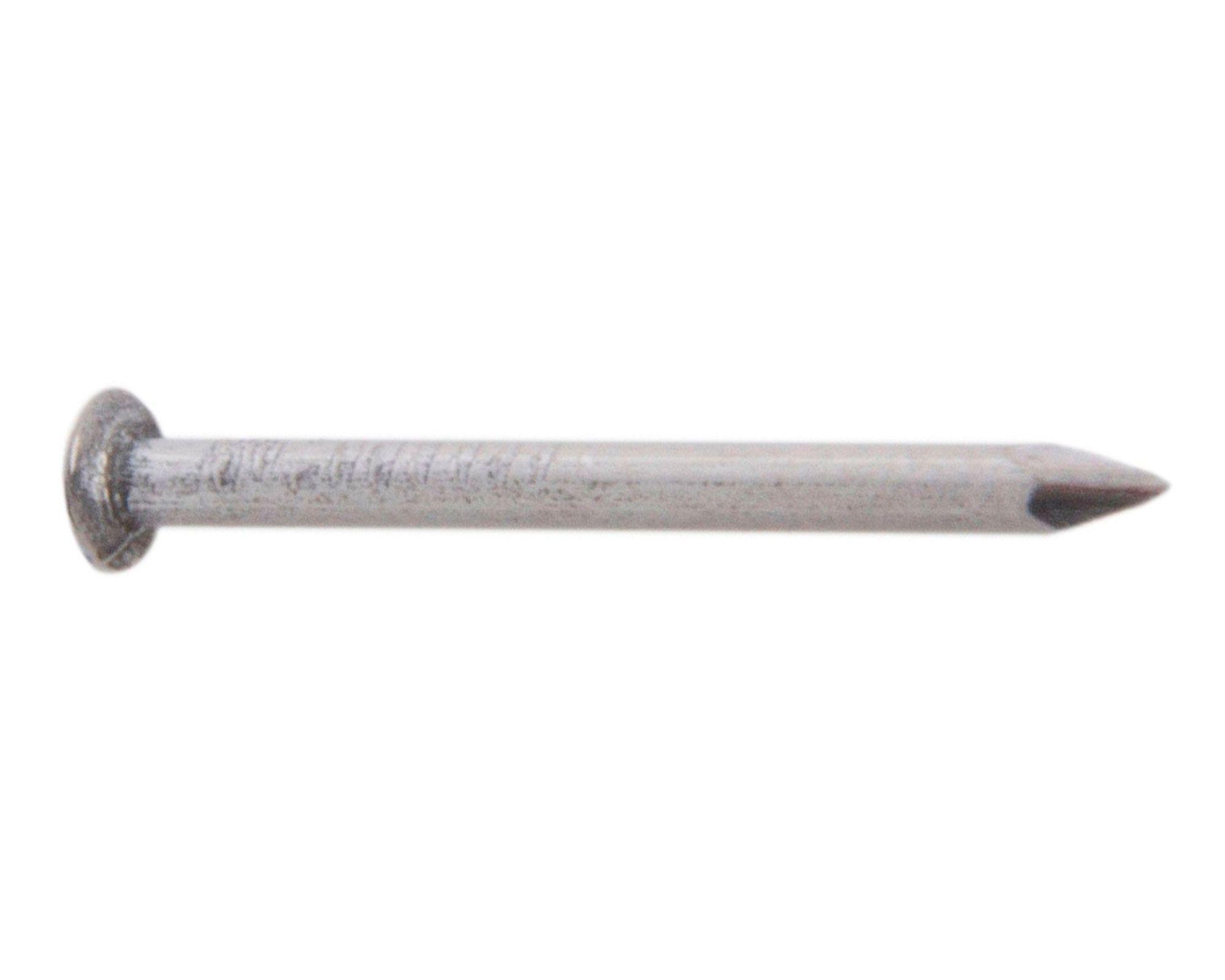Clavo corriente 3/4'' x 100 grs Inchalam-1