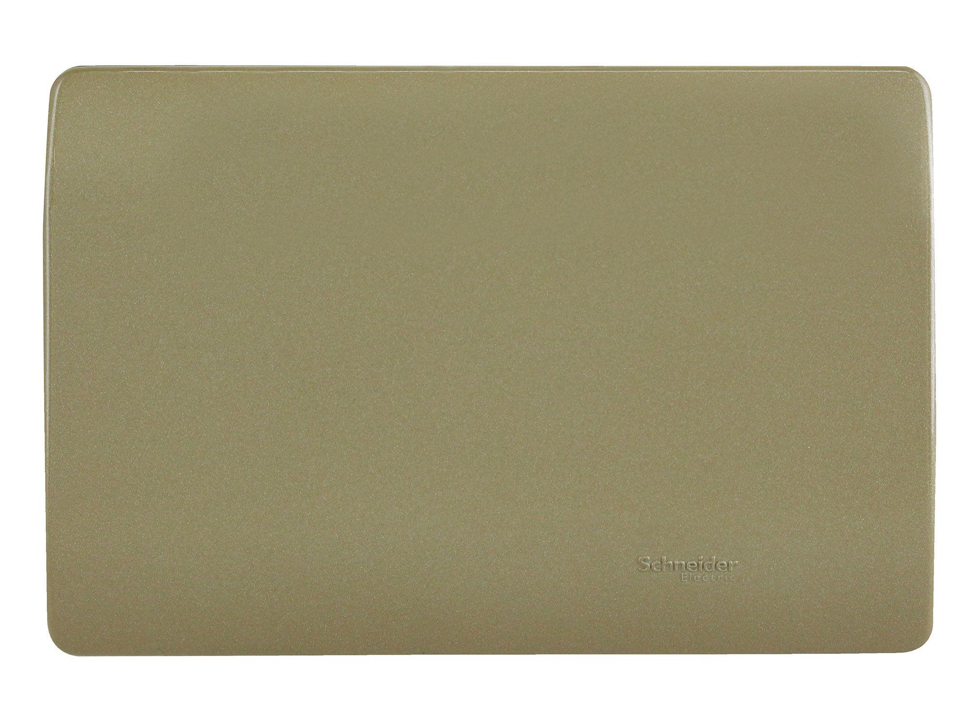 Placa ciega Génesis dorado Schneider-0