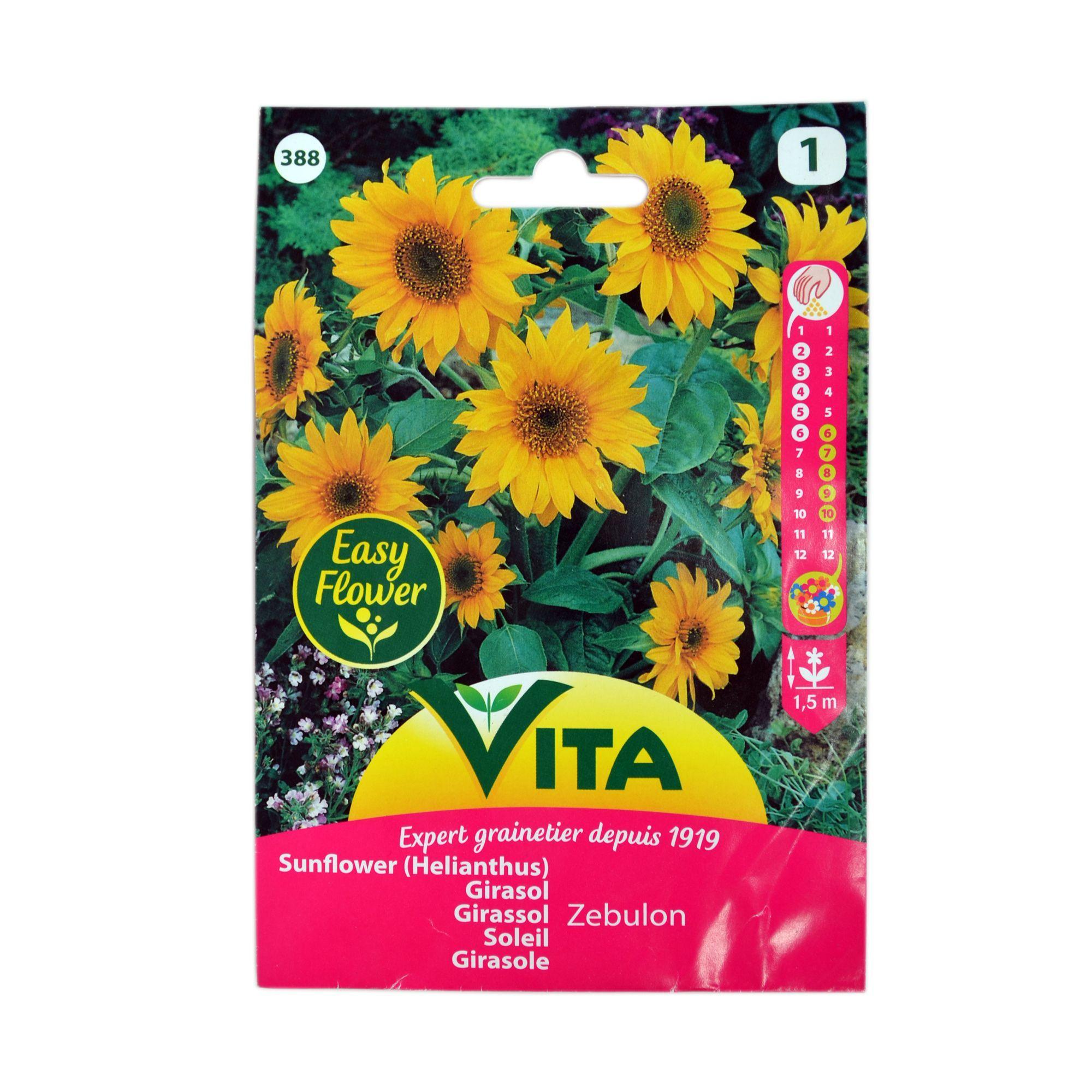 Semilla corriente zebulón girasol desinfectada x3 g vita-0