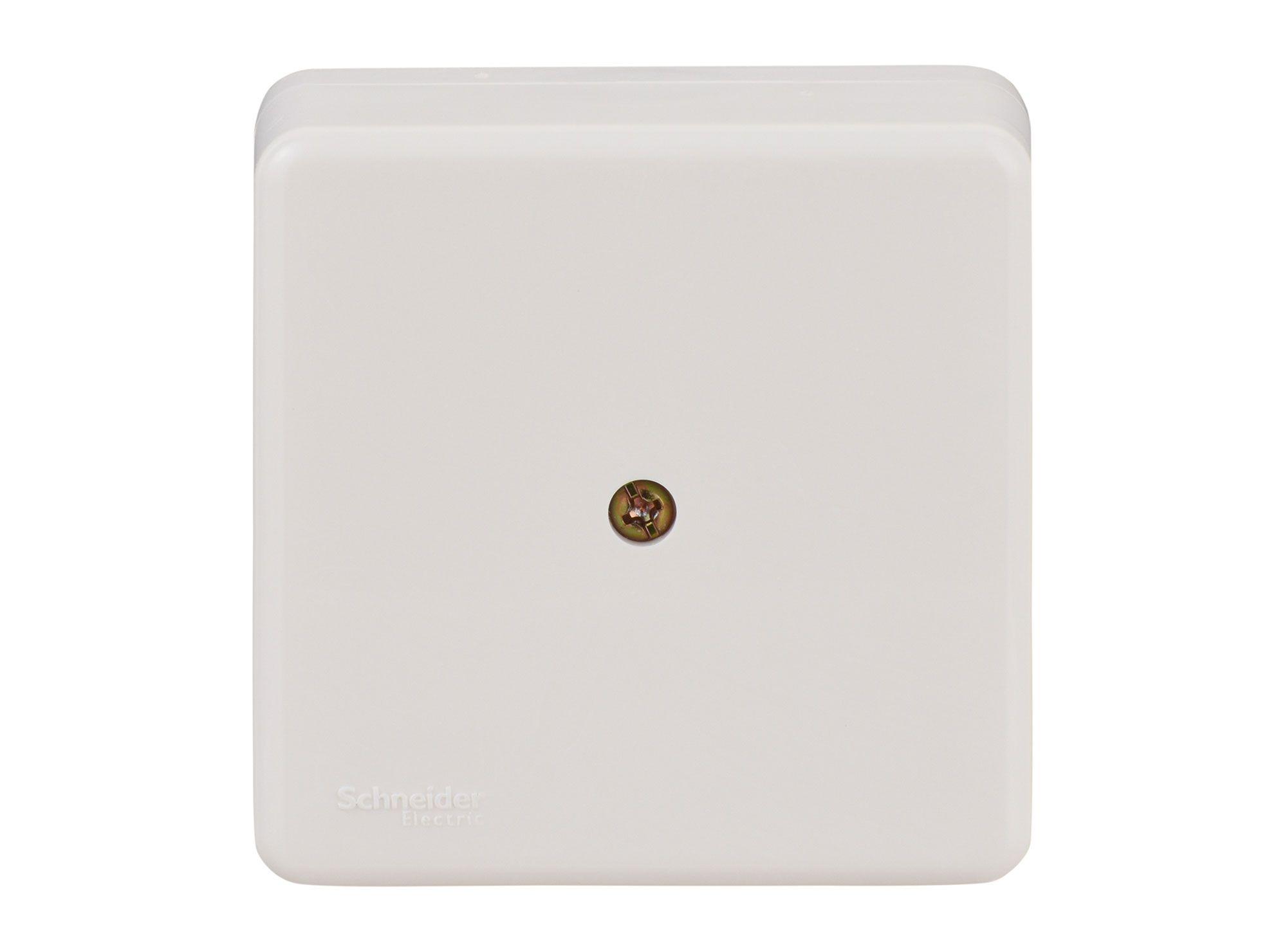 Caja Distribuidora 66 x 66 x 32 mm blanco Schneider-1