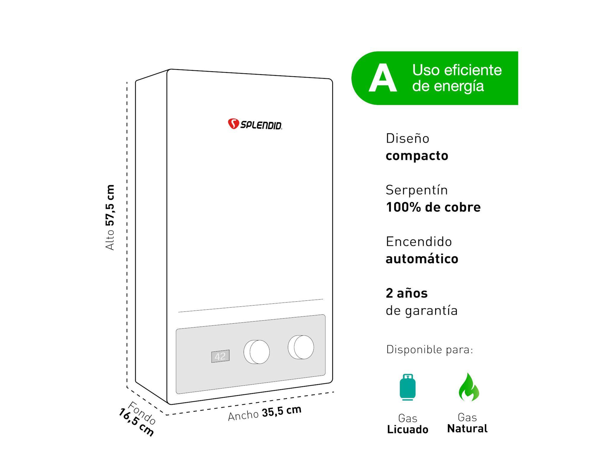 Calefont tiro forzado 10 litros gas natural Master Splendid-5
