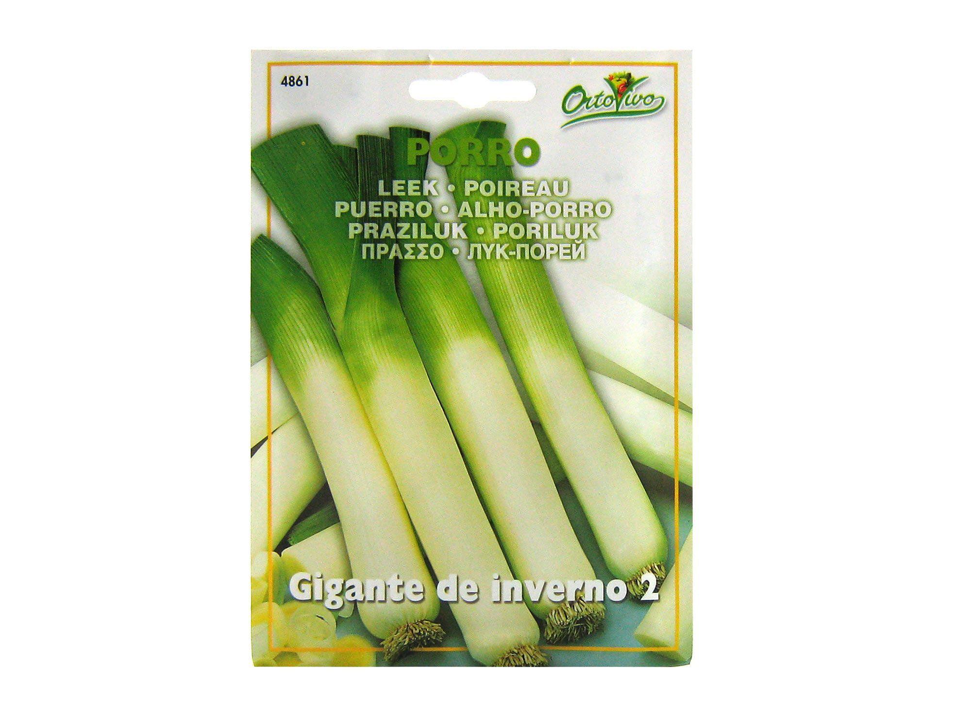 Semilla corriente puerro gigante invierno desinfectada x4.5g Ortovivo-0