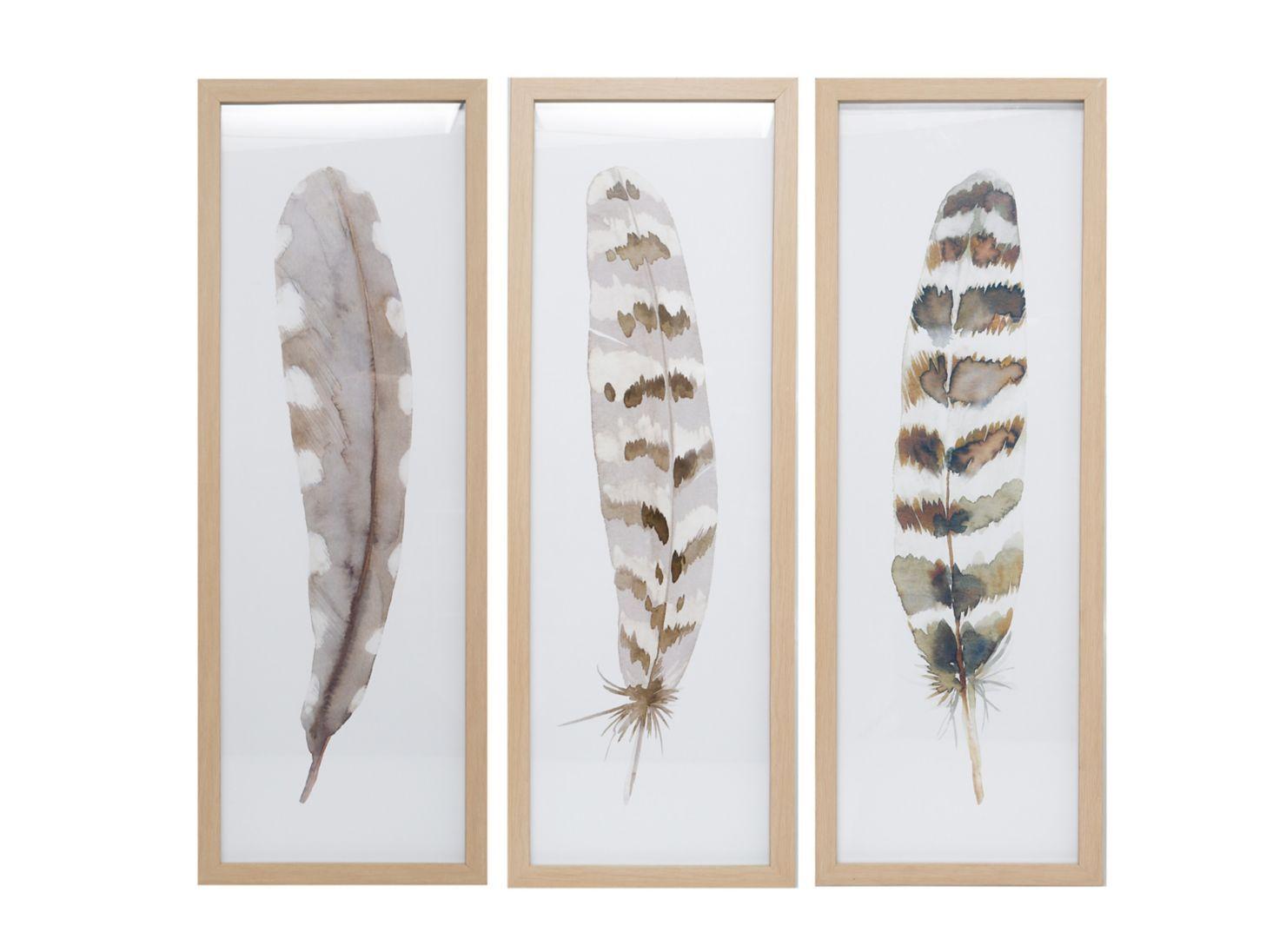 Pack 3 Cuadros Pluma-0