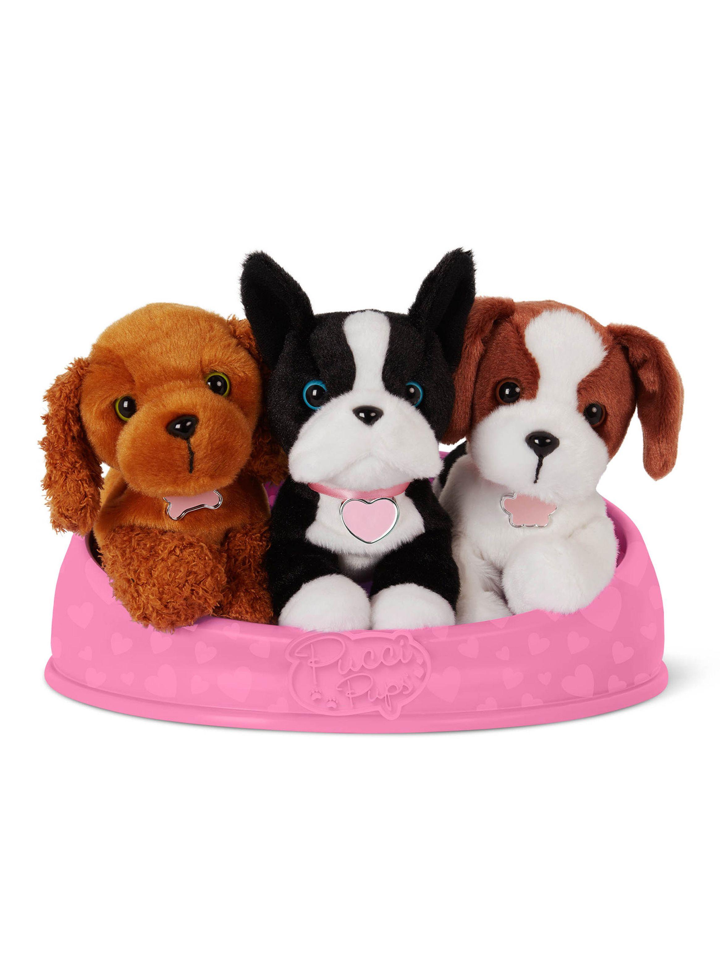 Adopta 3 Perros Cocker Terrier & Beagle Caramba-0