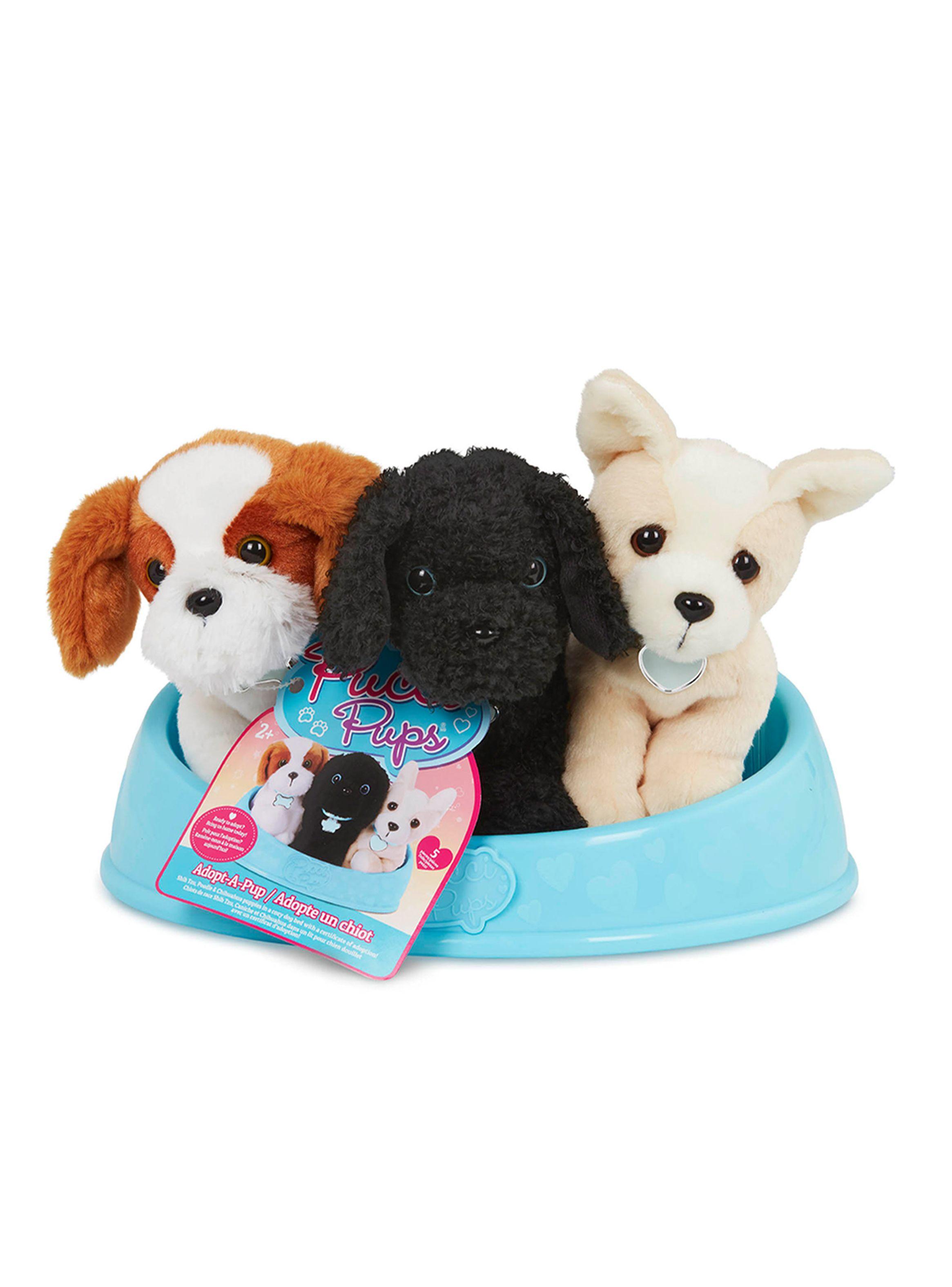 Adopta 3 Perros Shih Poodle & Chihuahua Caramba-0