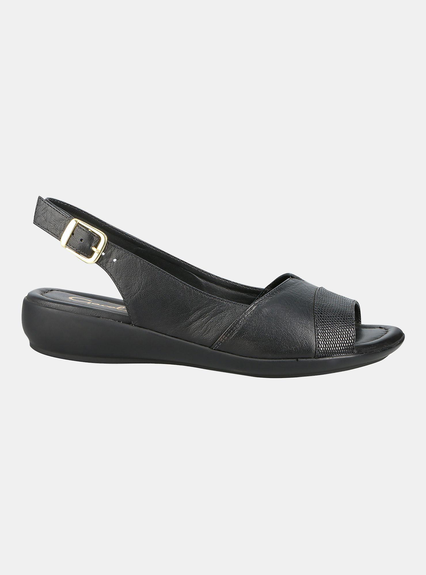 Sandalia Gacel Diana 016 Casual-0
