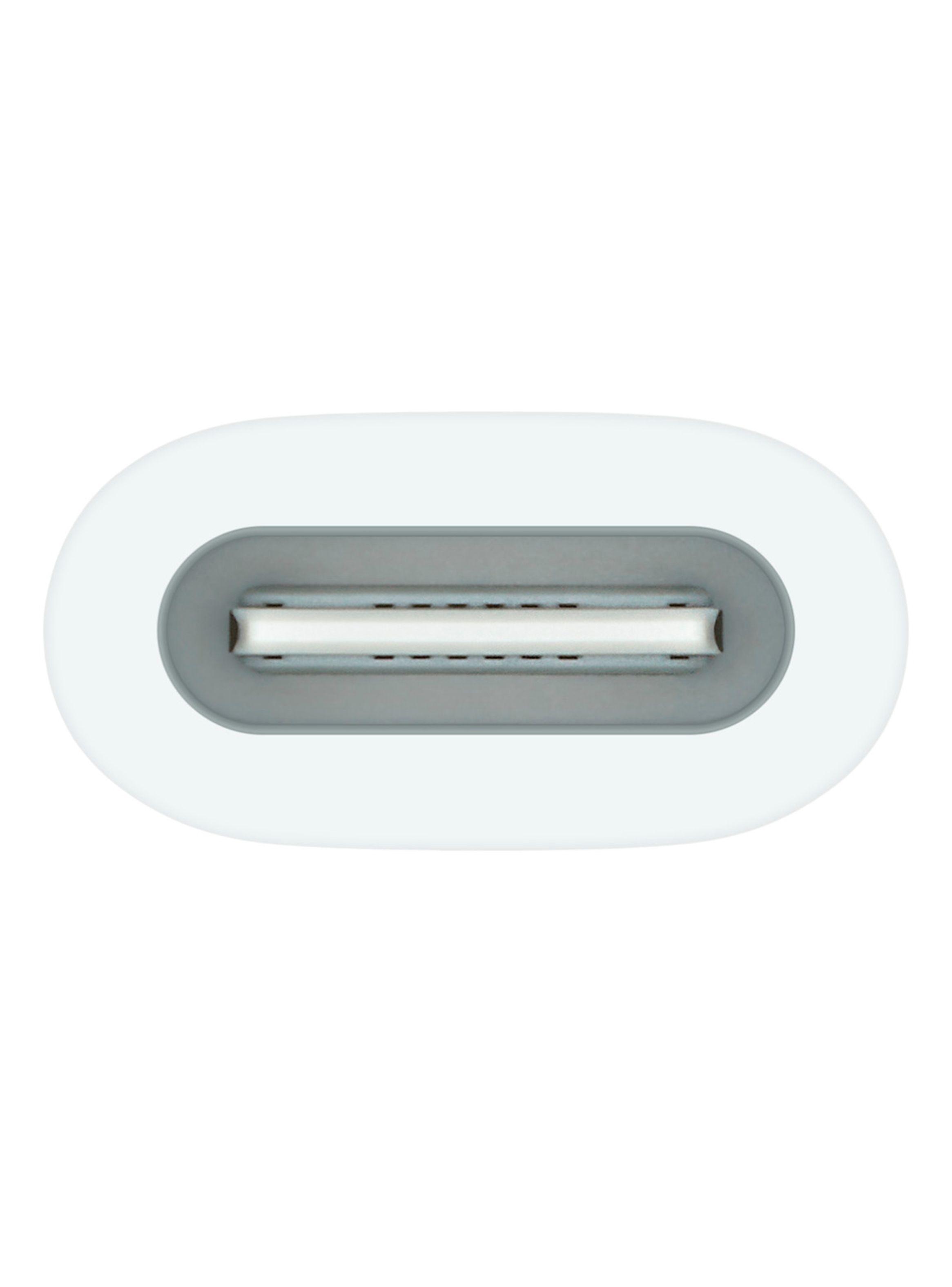 Apple Adaptador de USB-C a Apple Pencil-1