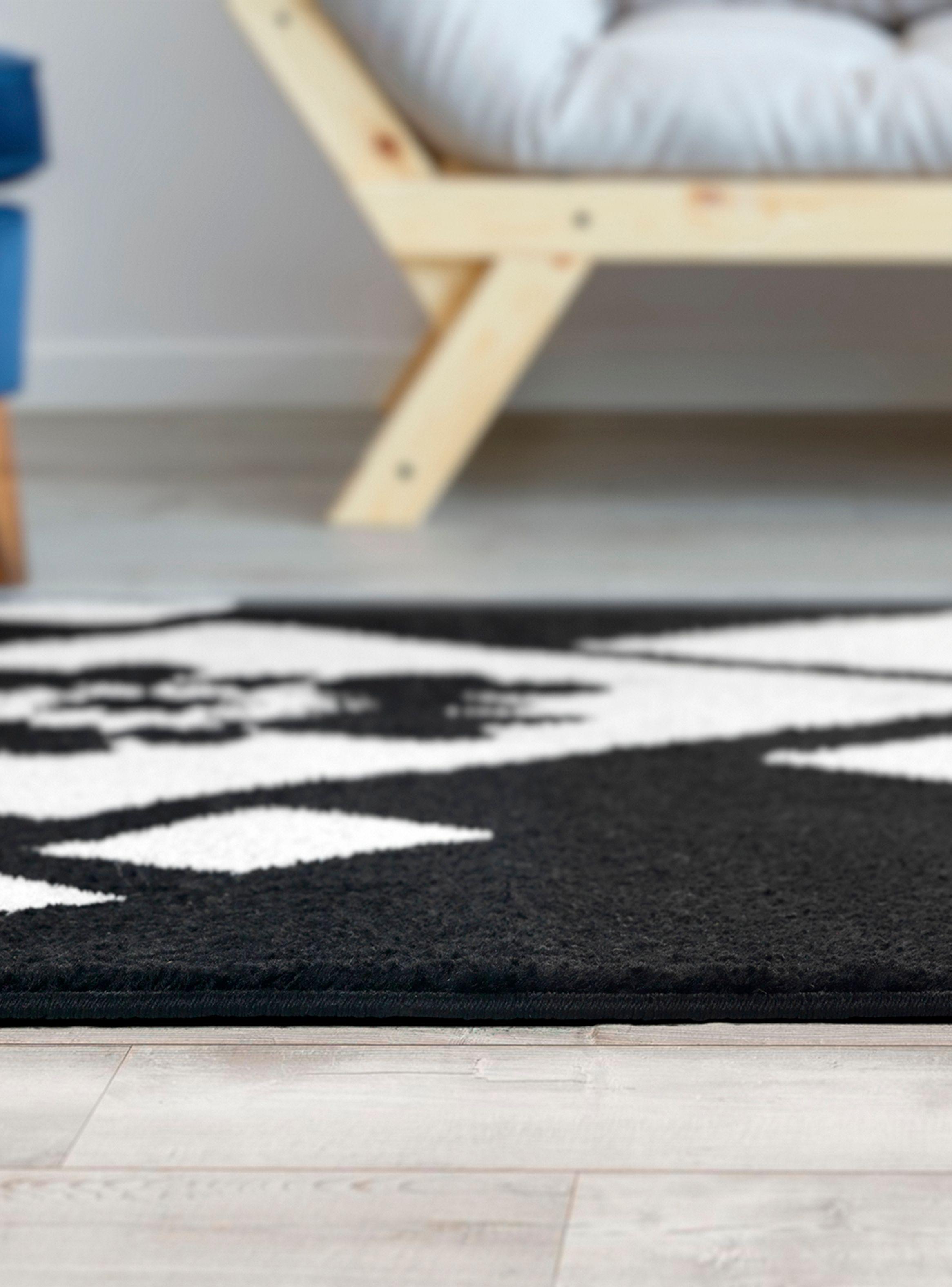 Alfombra 240 x 305 cm Amigo Negro-5