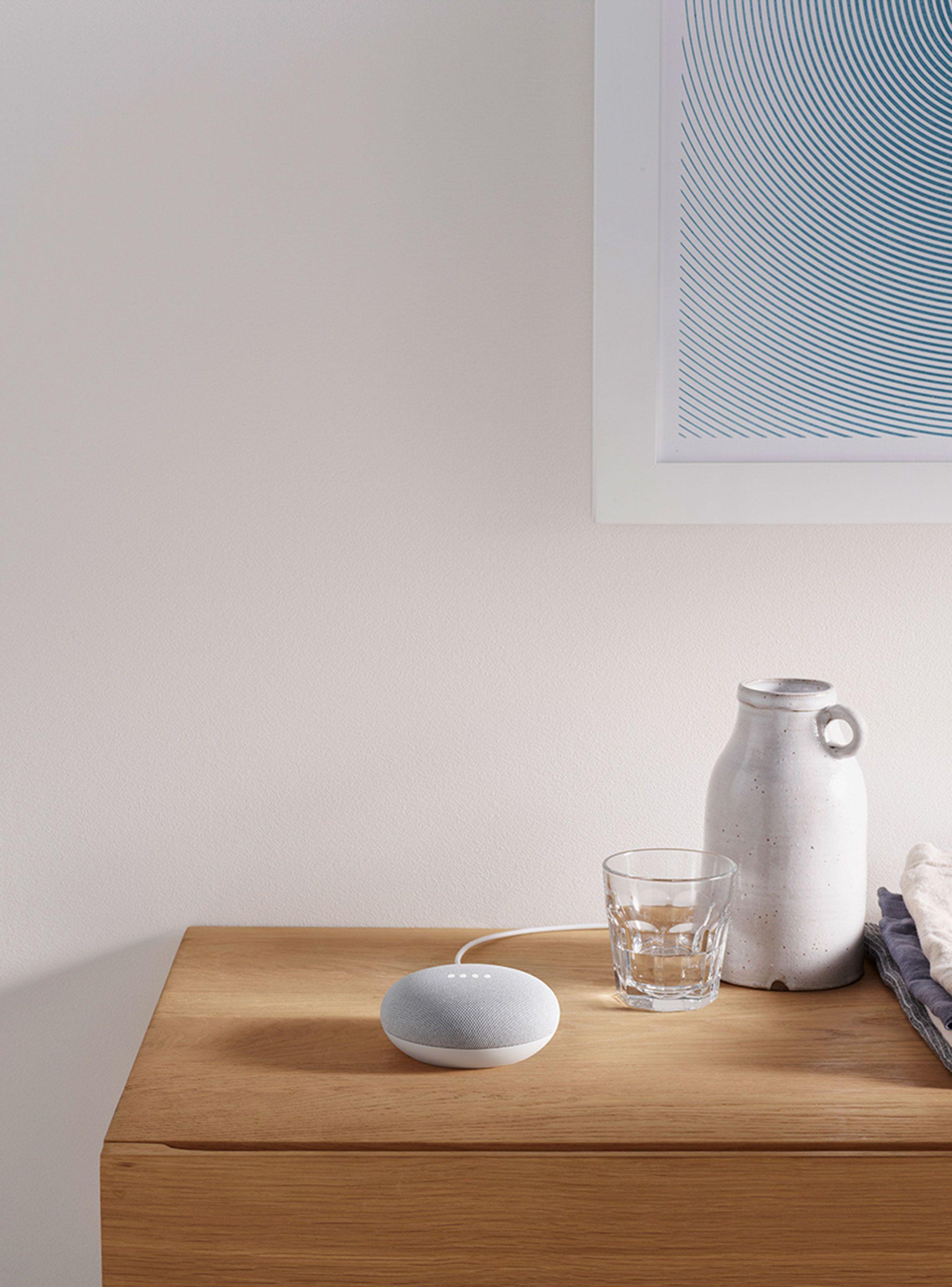 Nest Google Mini Gris-4