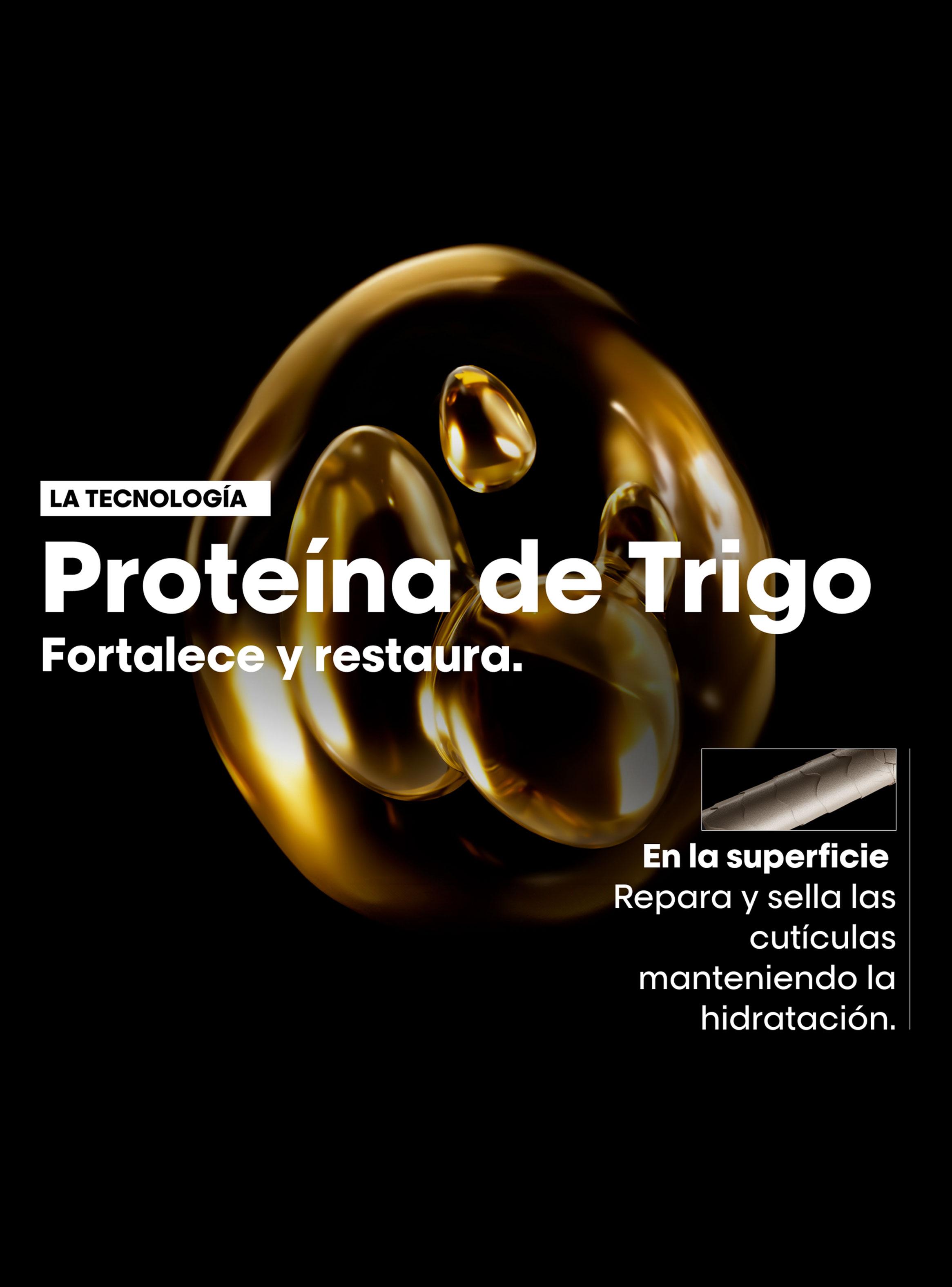 Aceite 10 en 1 Reparación y Nutrición Absolut Repair 90ml  L'Oréal Professionnel-5