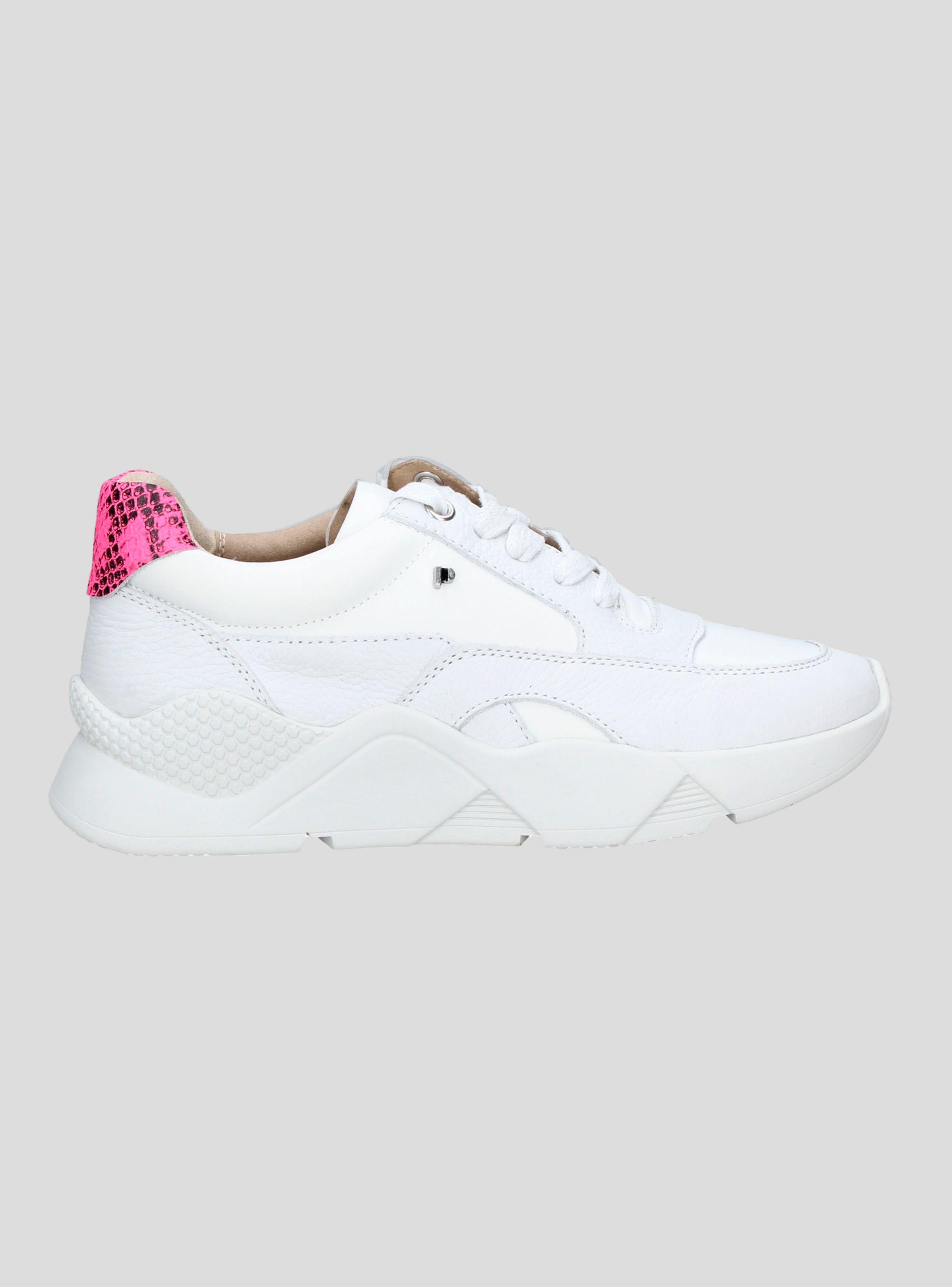 Zapatilla Pollini Urbana B138 Mujer-0