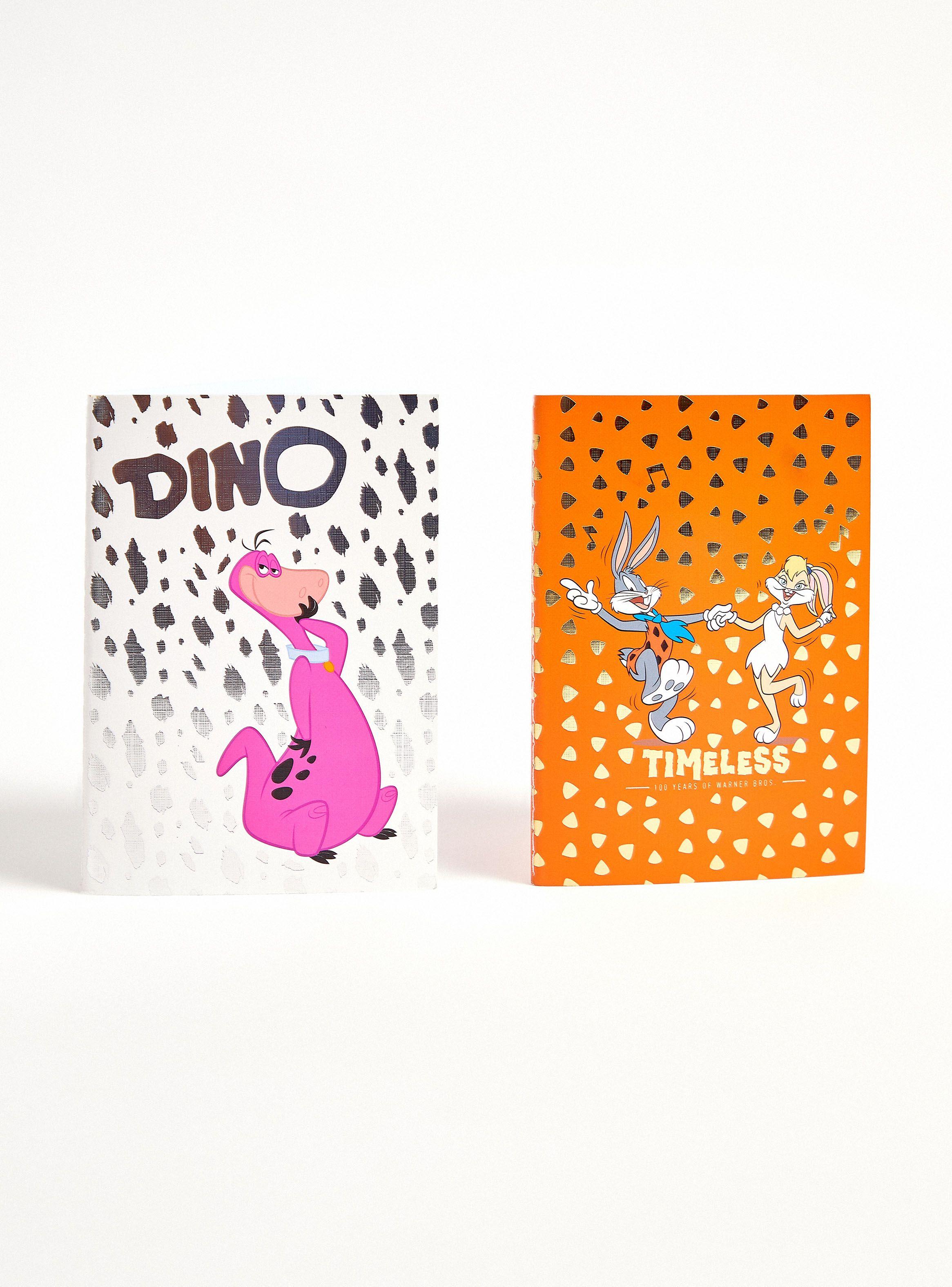 Set de Accesorios Pack 2 Libretas Warner Bros. 2 Piezas-0