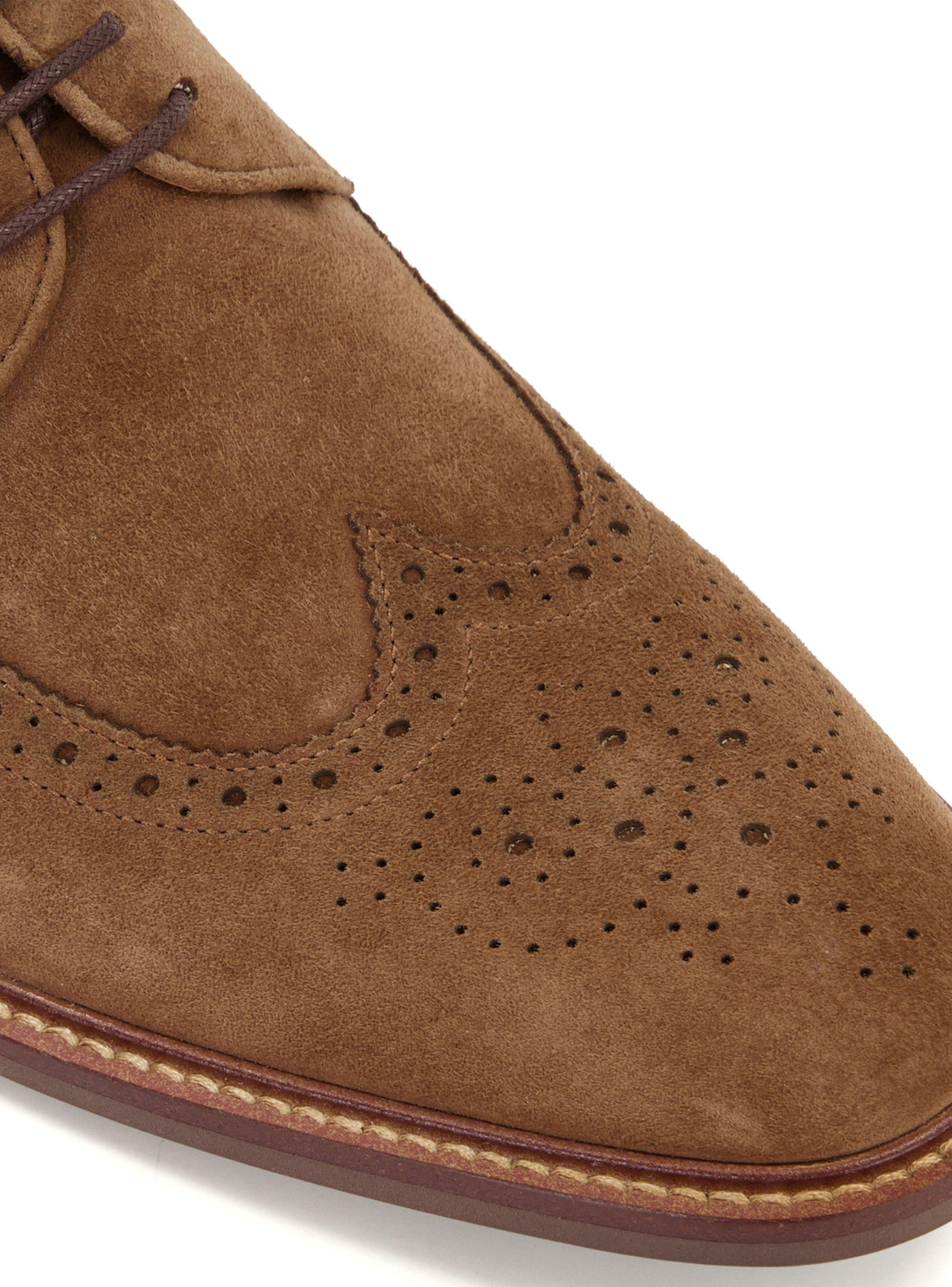 Zapato de Vestir Superior Hombre-4