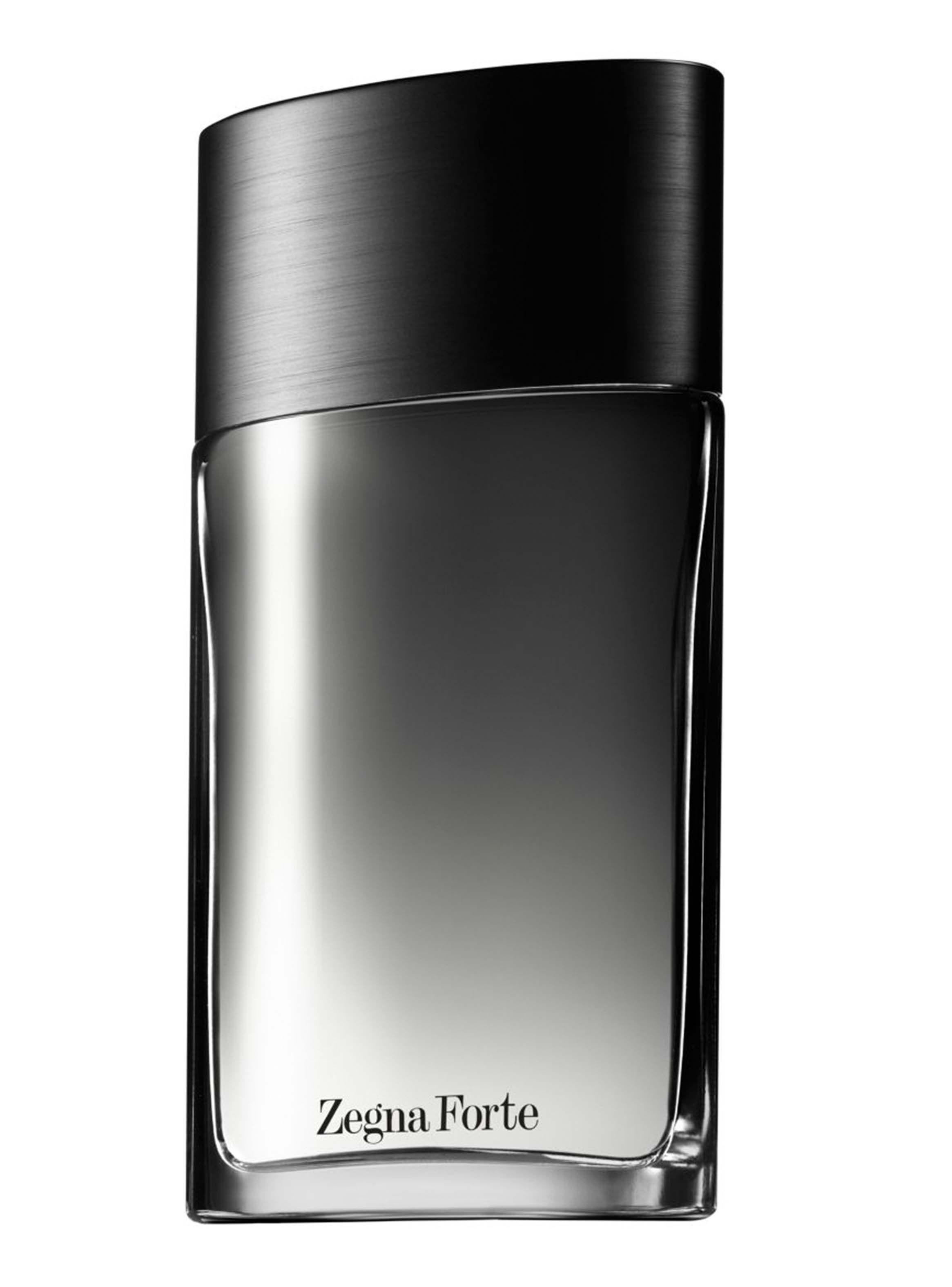 Perfume ErHombreegildo Zegna Forte Hombre EDT 100 ml-0