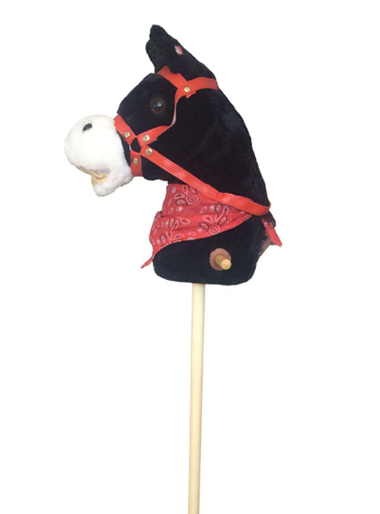 Caballito Seigard Musical-1