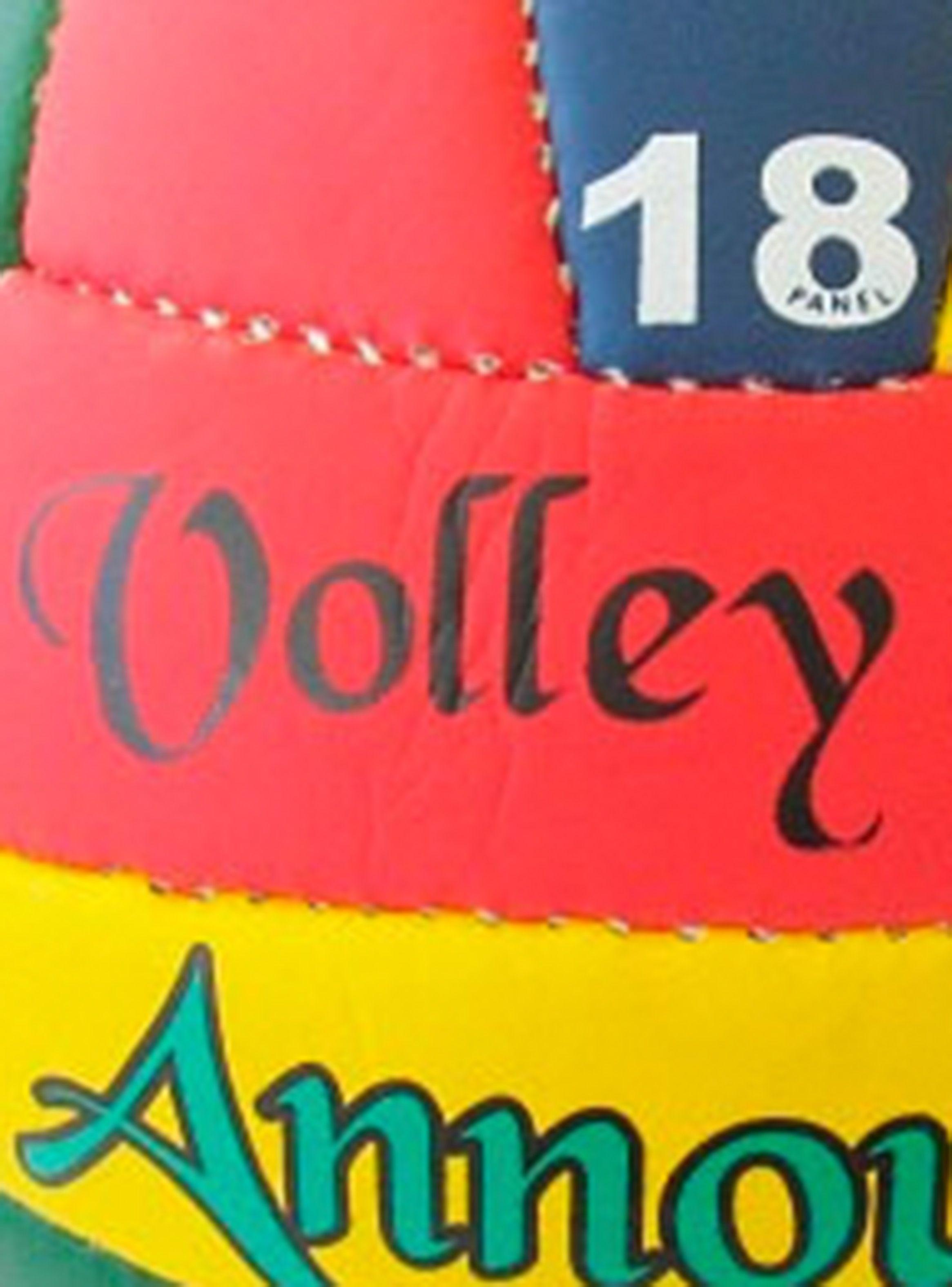 Balón de Voleibol Playa Seigard-1