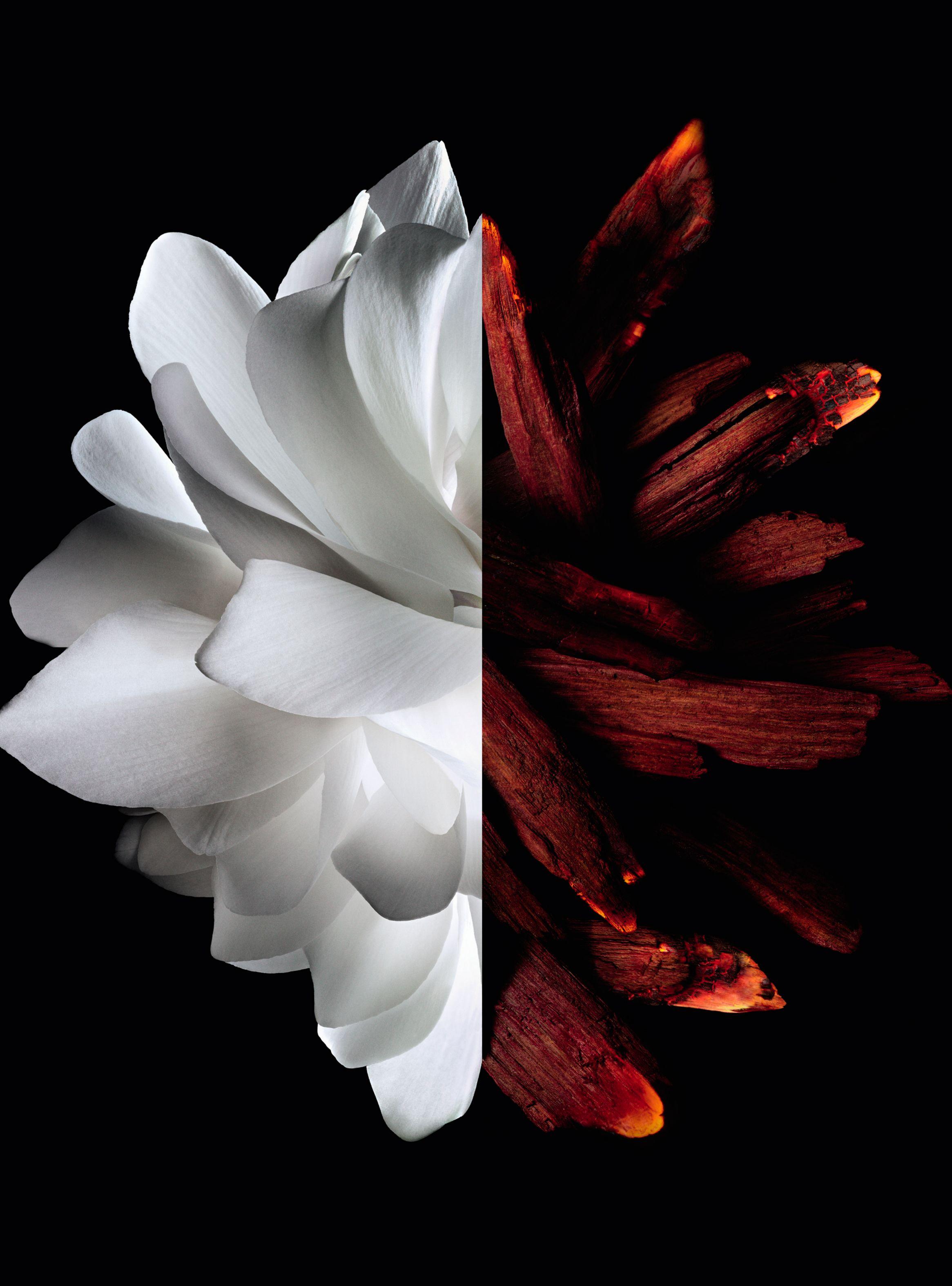 Perfume Givenchy L'Interdit  Rouge EDP Mujer 80 ml-4