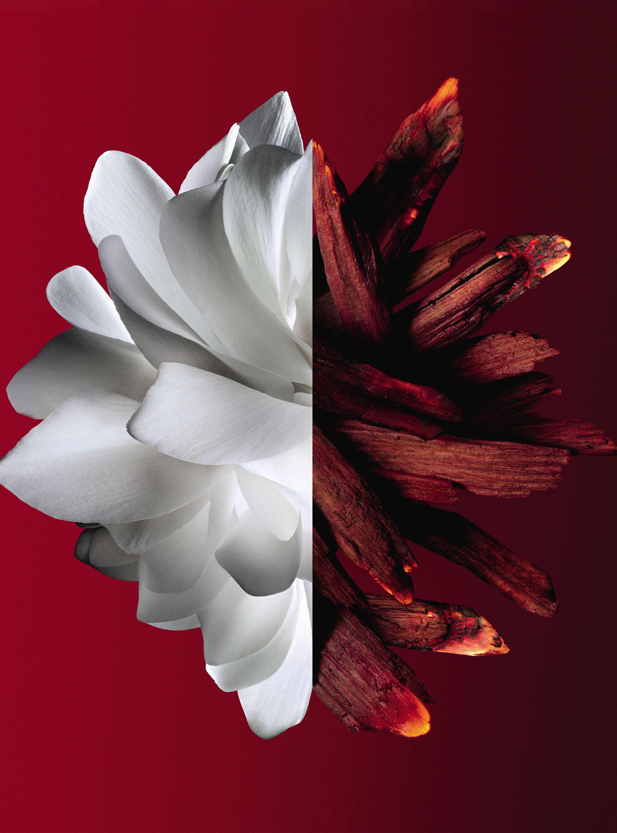 Perfume L'Interdit Rouge Ultime EDP Mujer 80 ml-3