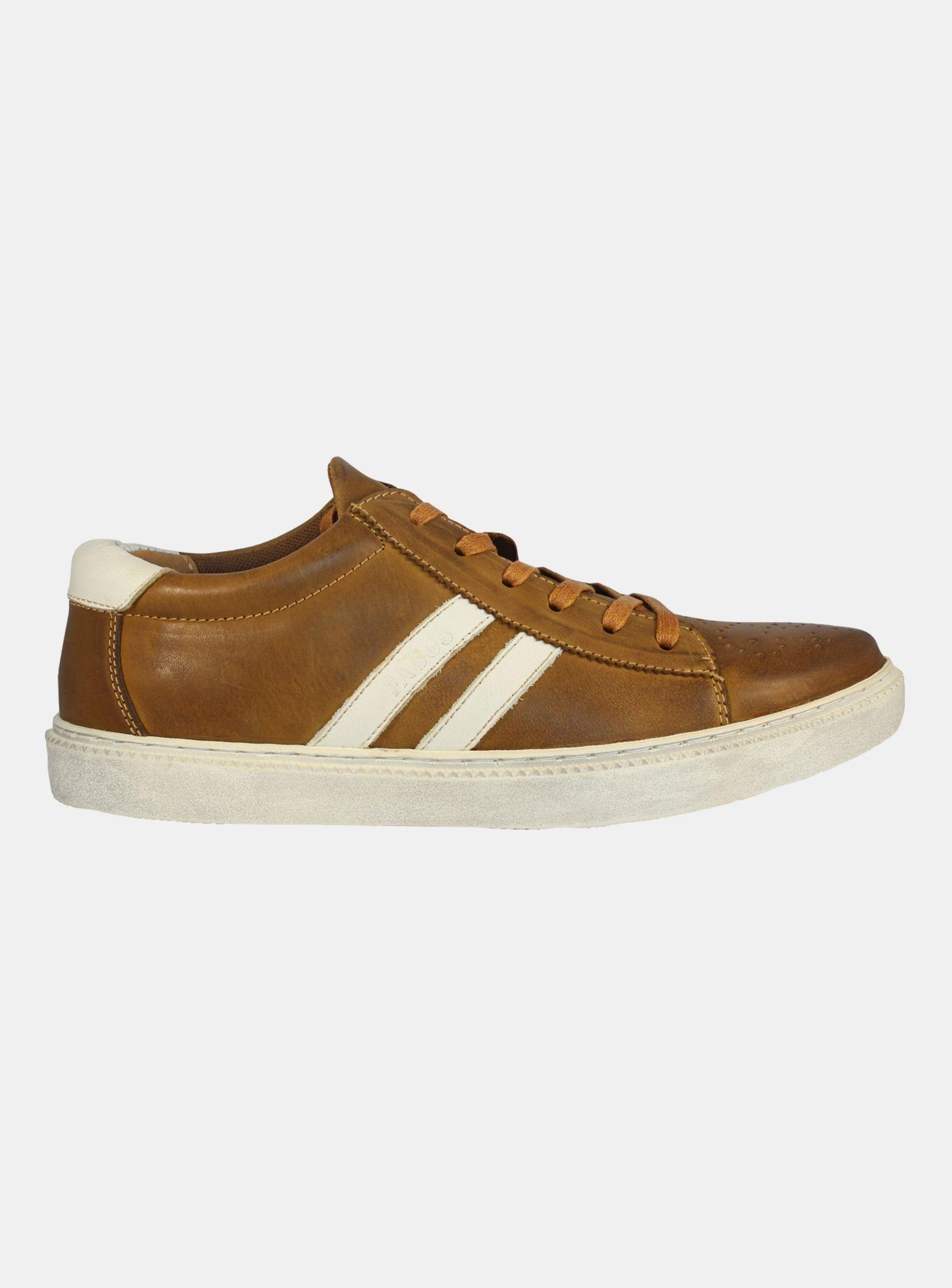 Zapatilla Urbana Fagus 5SZ1019 Hombre-0