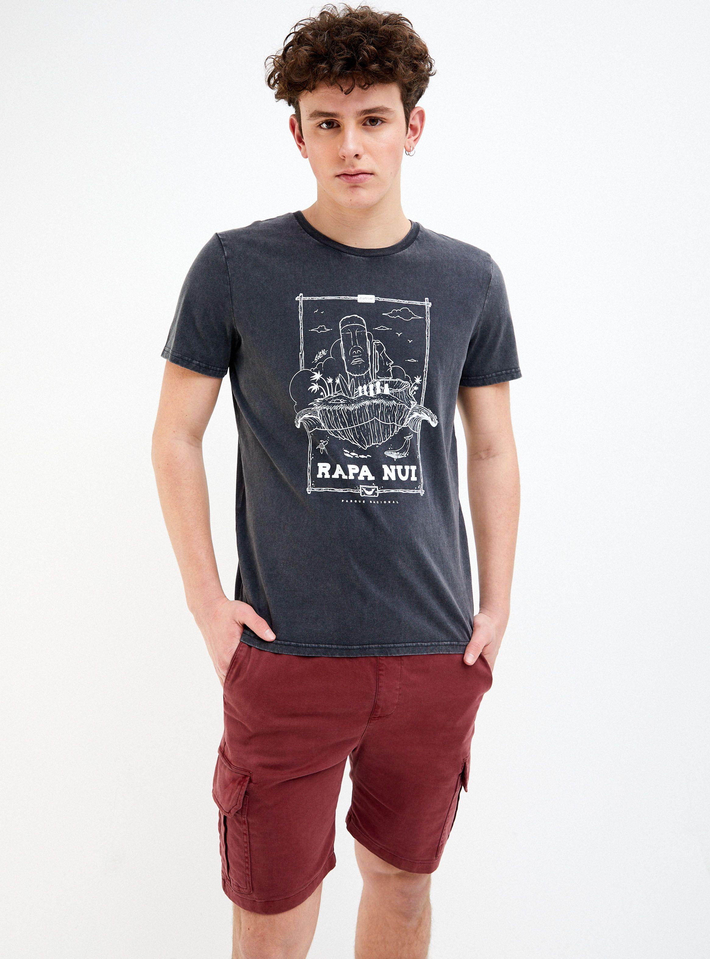 Polera Manga Corta Parques Nacionales Aussie-0