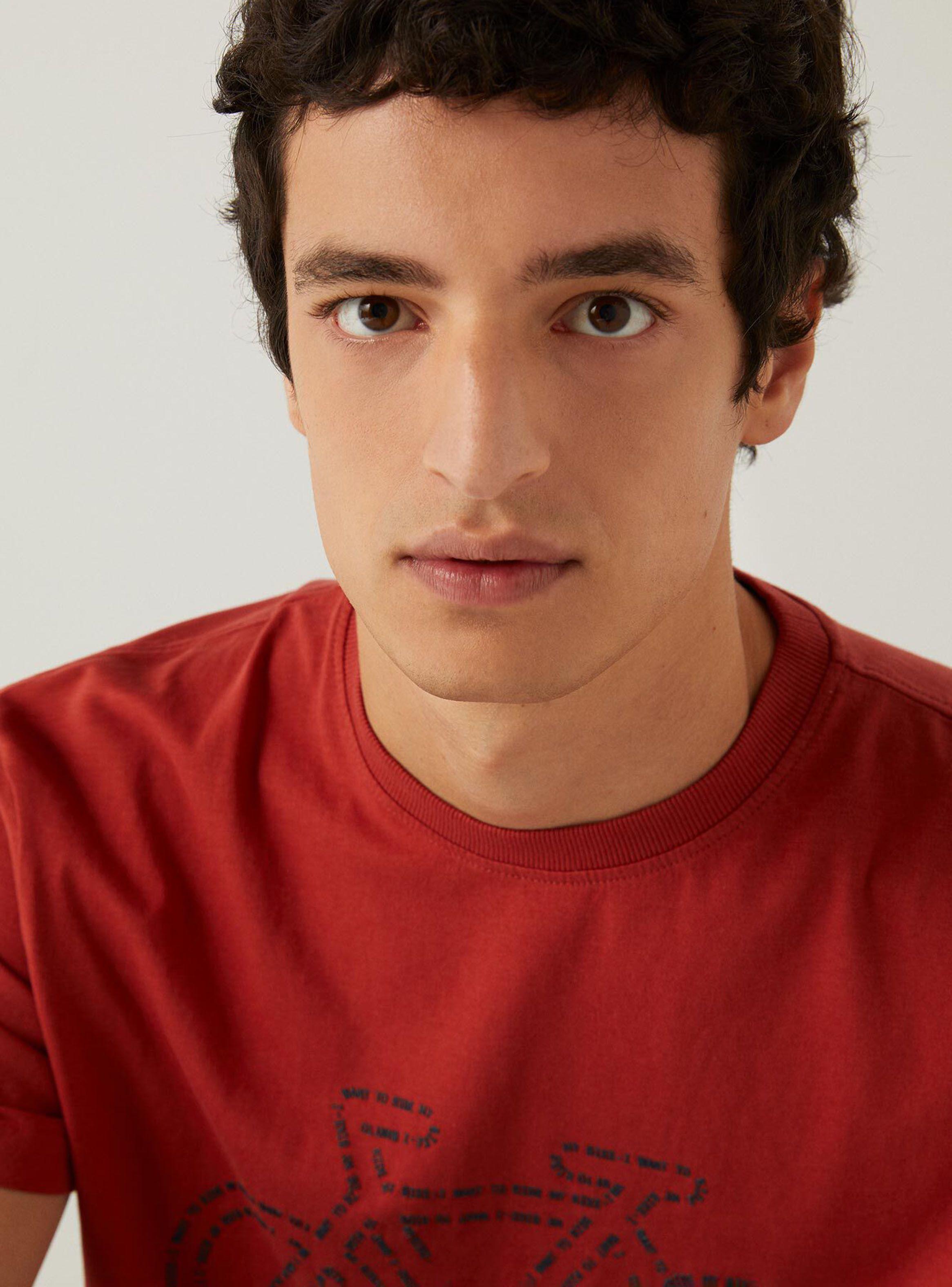 Polera Springfield Diseño Bicicleta-2