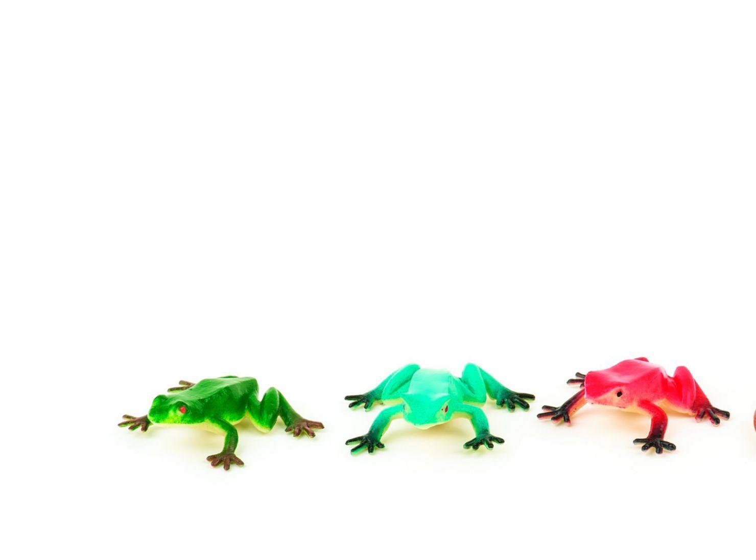 Terra Set reptiles Caramba-1