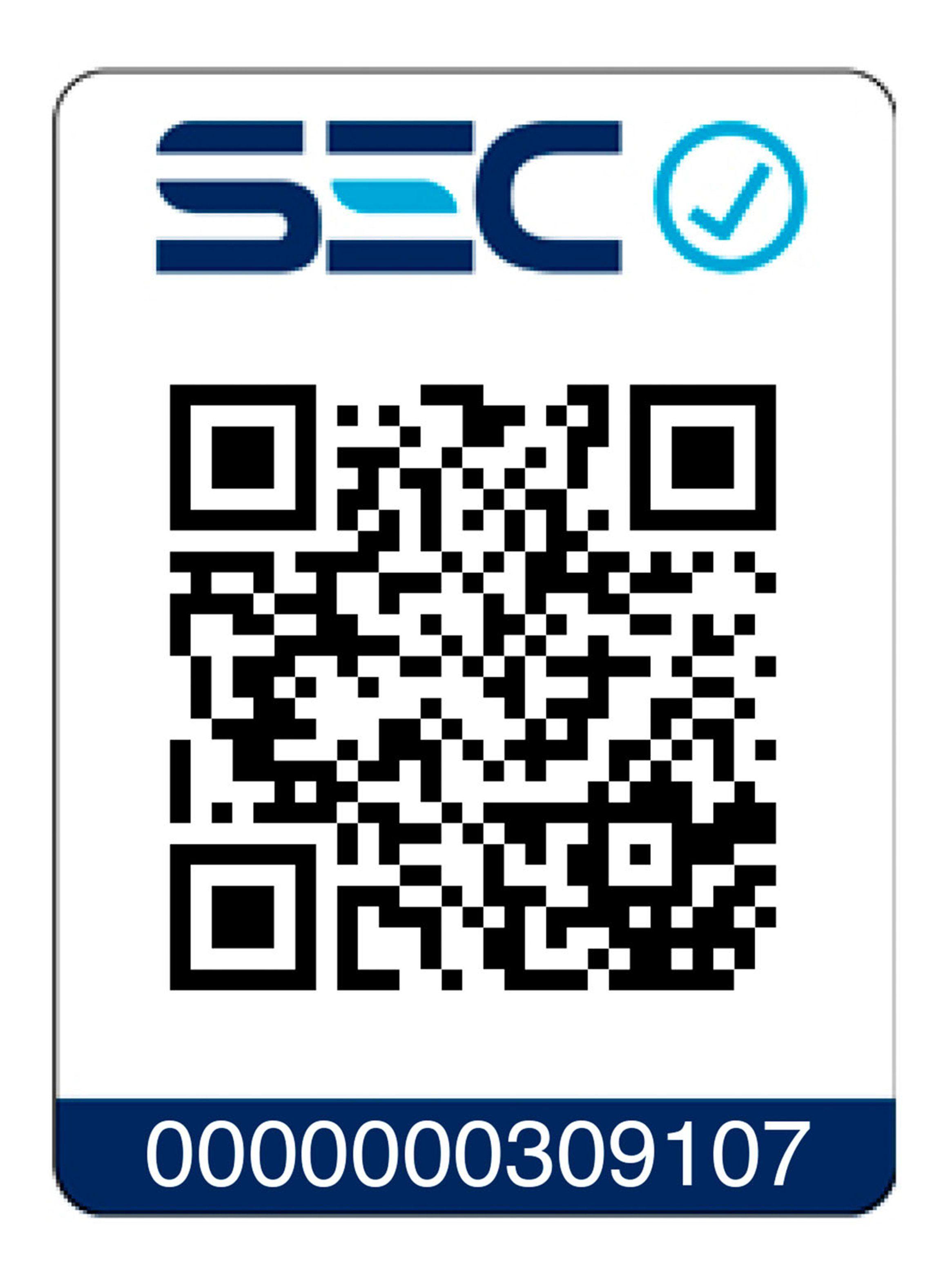 Alisador de Pelo SG-4751-4