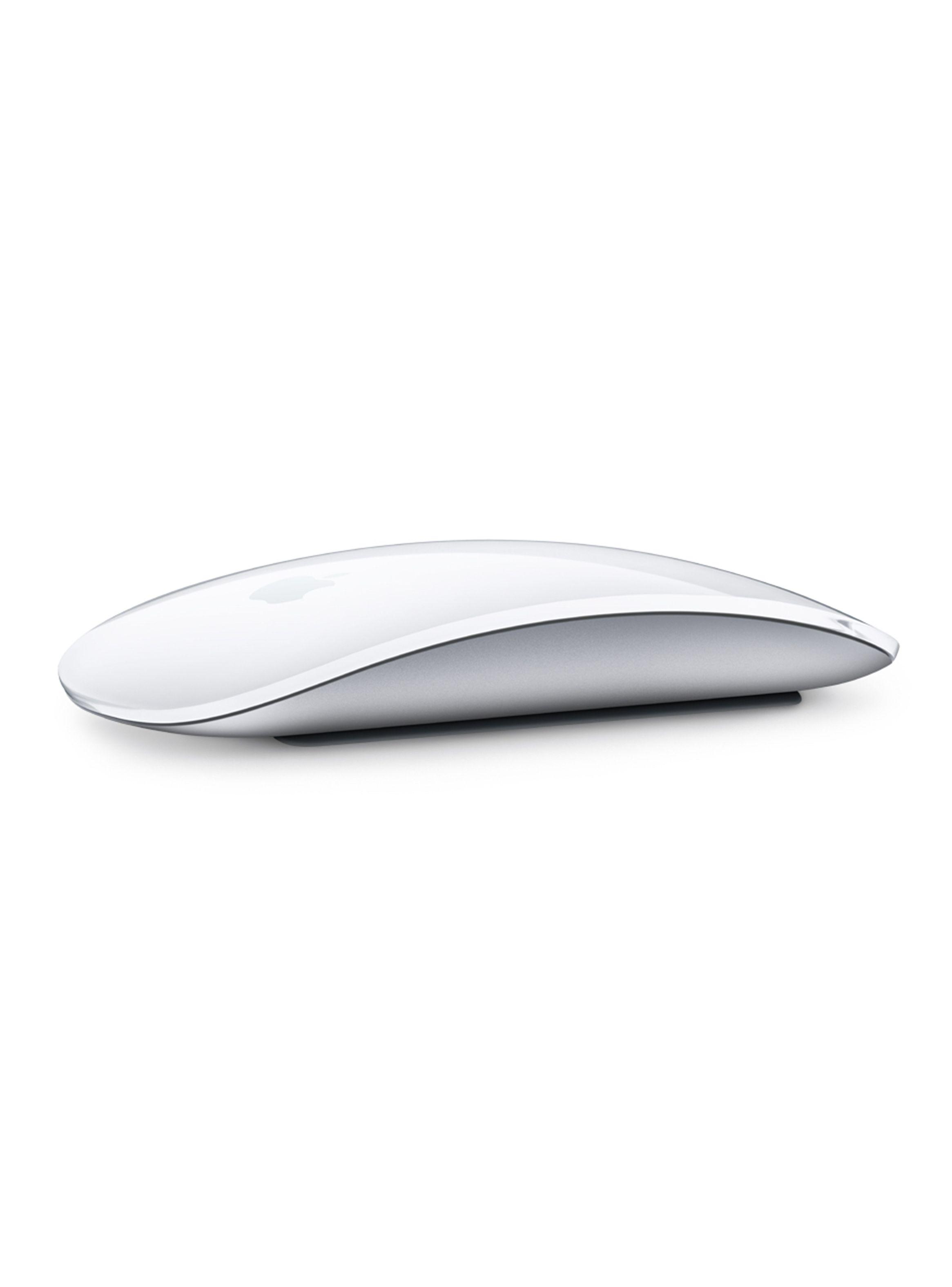 Magic Mouse-1