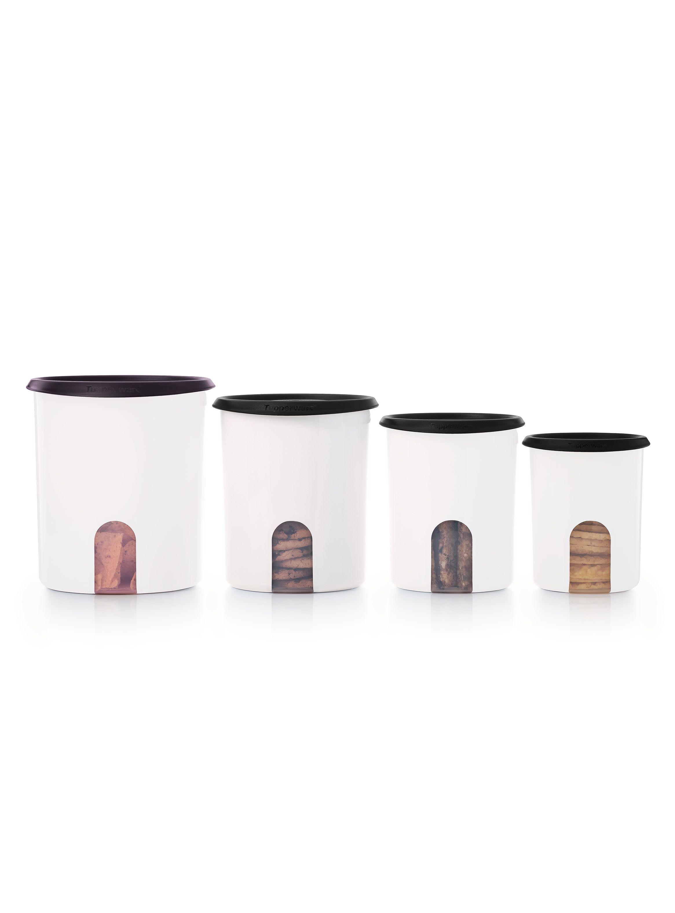 Pack 4 Contenedores con Ventanilla-0